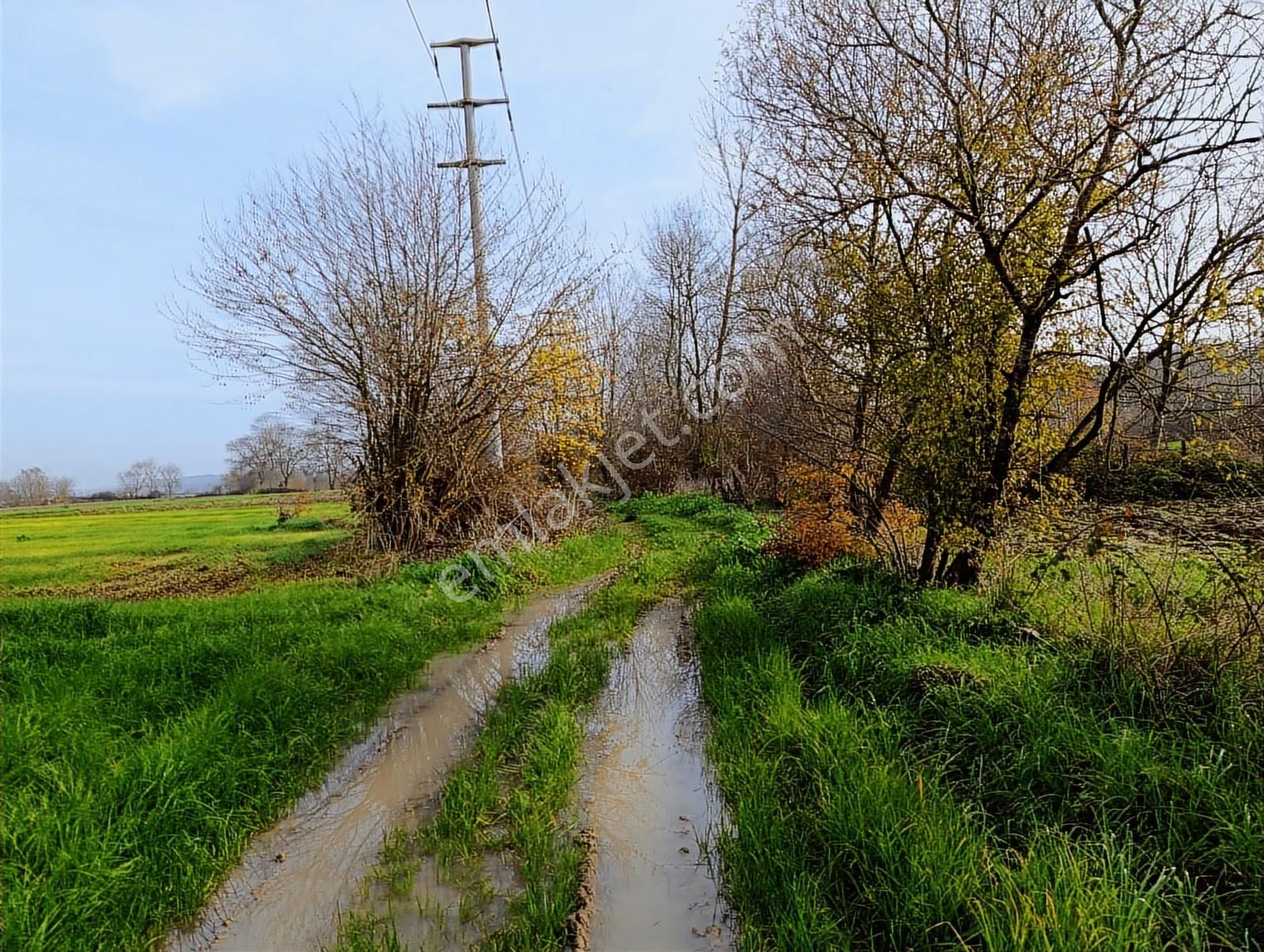 Yol Cepheli 2058 M2 Tarıma Elverişli Merkez De Satılık Tarla - Görsel 5