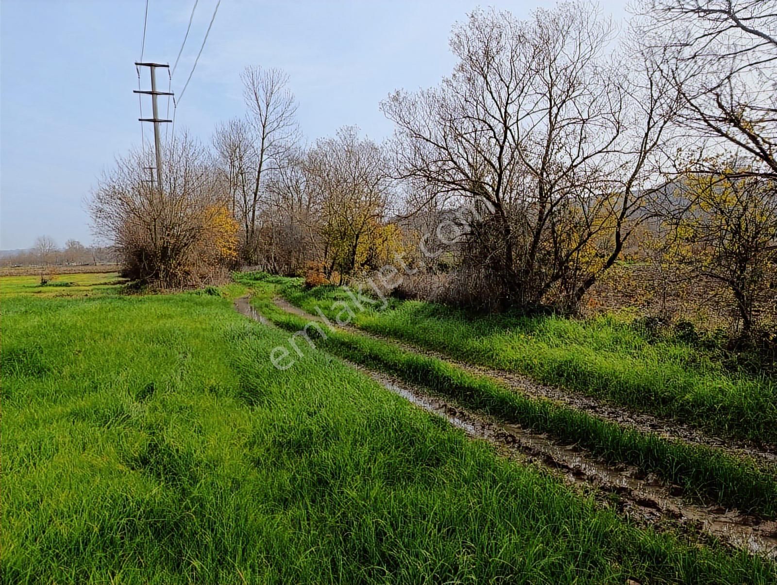 Yol Cepheli 2058 M2 Tarıma Elverişli Merkez De Satılık Tarla - Görsel 13