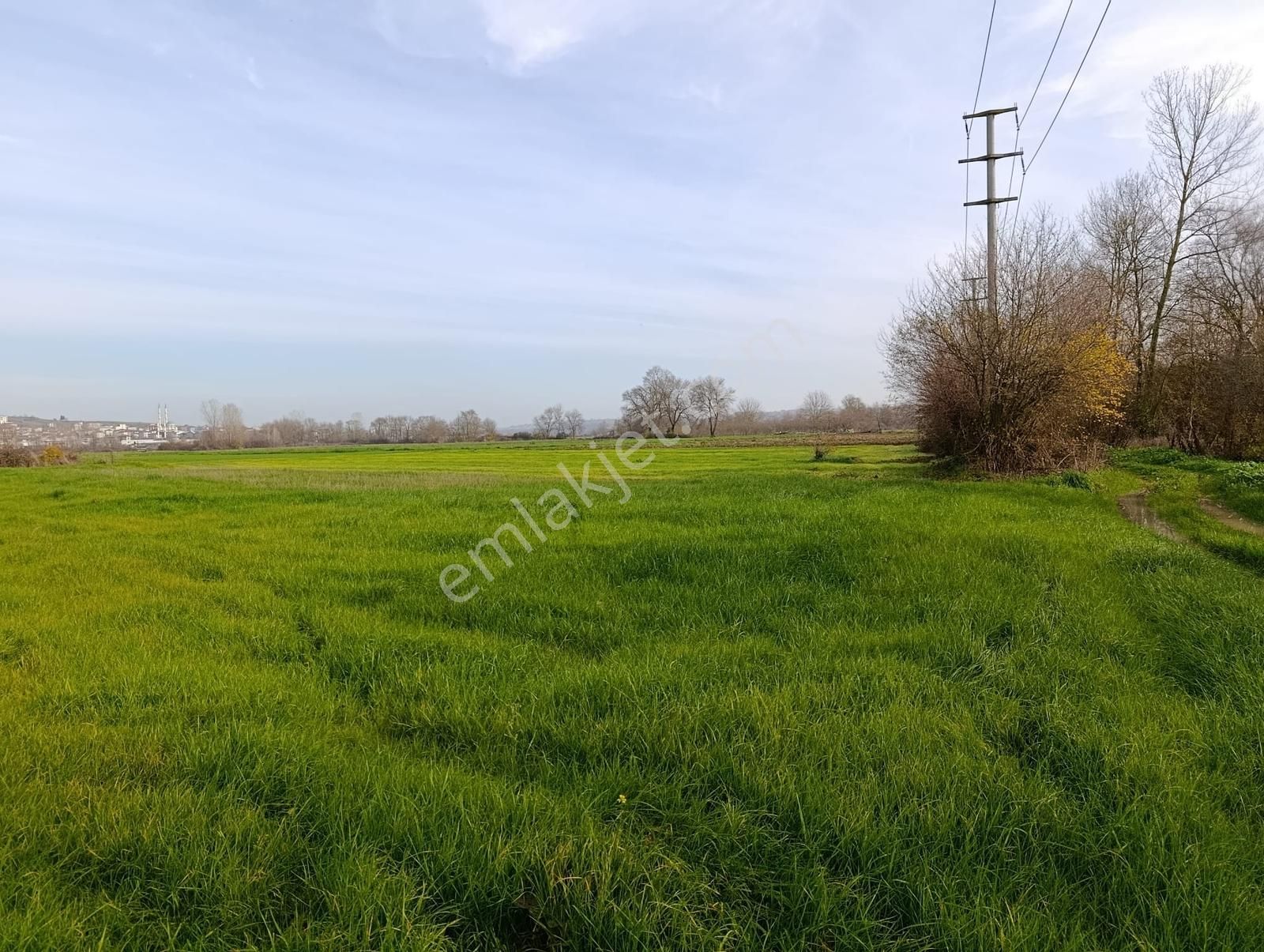 Yol Cepheli 2058 M2 Tarıma Elverişli Merkez De Satılık Tarla - Görsel 11