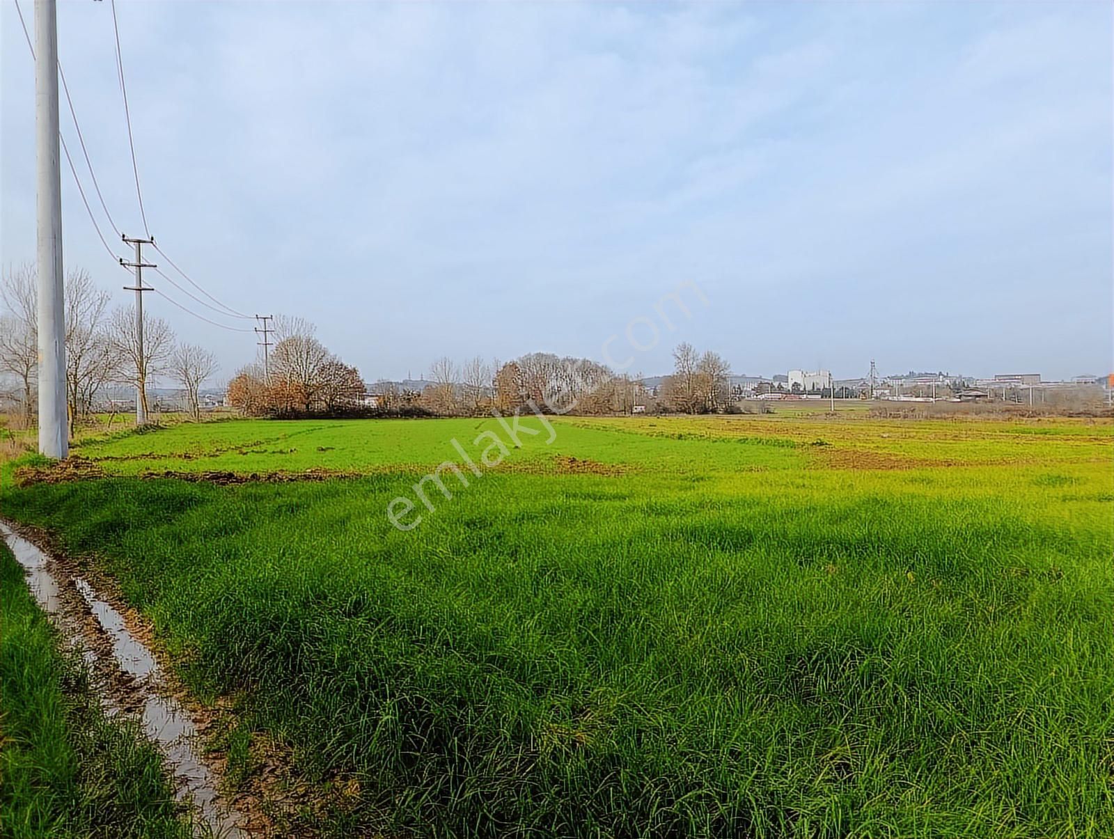 Yol Cepheli 2058 M2 Tarıma Elverişli Merkez De Satılık Tarla - Görsel 12