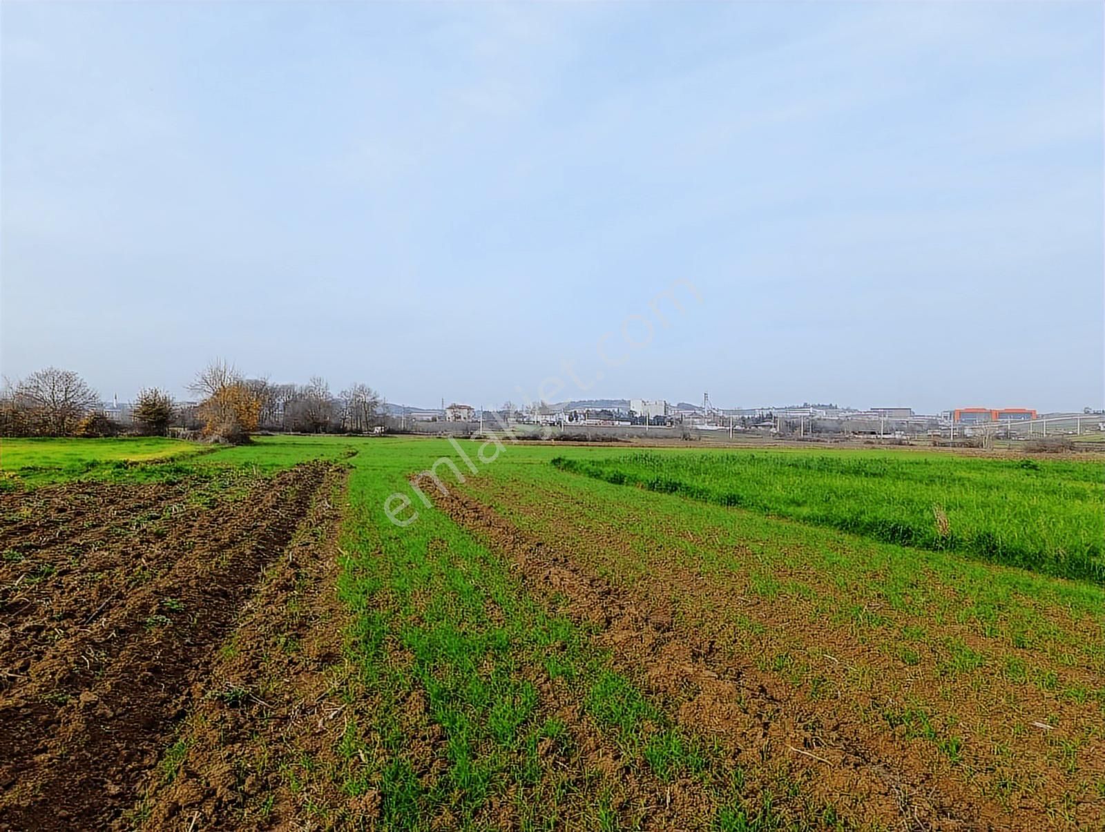 Yatırımlık Fırsat ! Kaynarca Merkezine Yakın 3260 M2 Tarla - Görsel 9