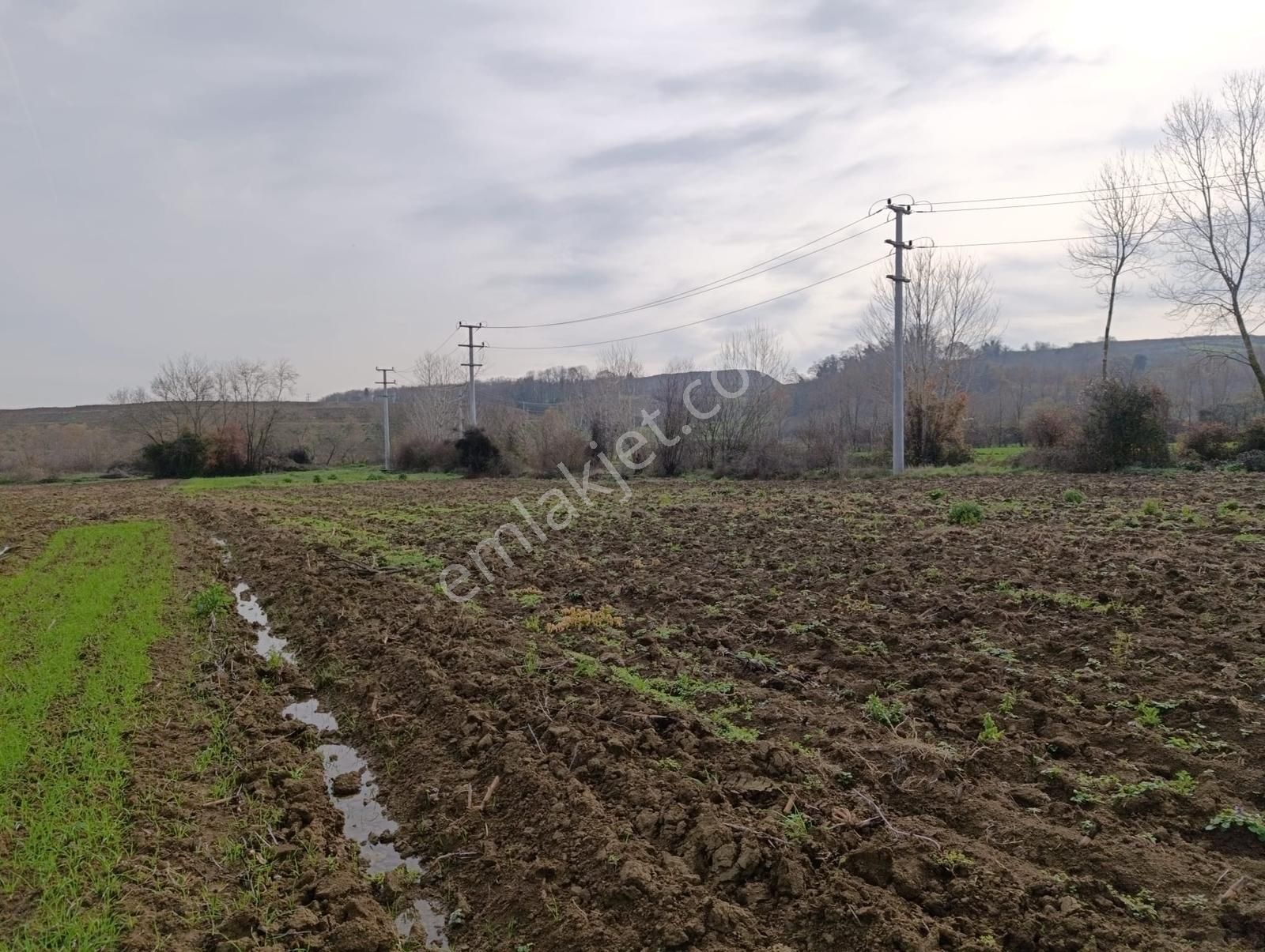 Yatırımlık Fırsat ! Kaynarca Merkezine Yakın 3260 M2 Tarla - Görsel 20