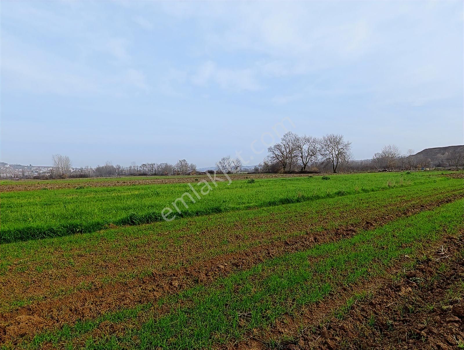 Yatırımlık Fırsat ! Kaynarca Merkezine Yakın 3260 M2 Tarla