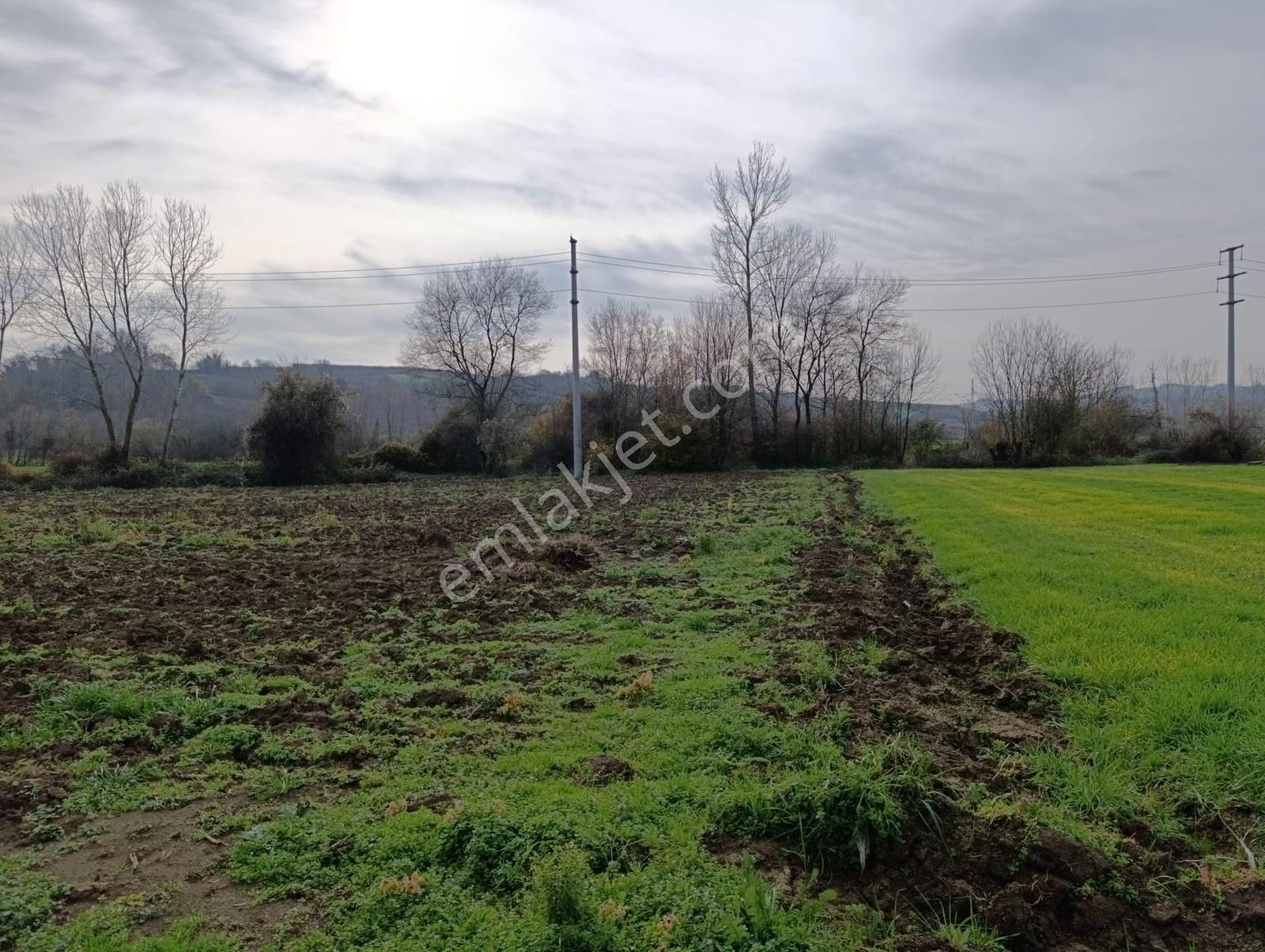 Yatırımlık Fırsat ! Kaynarca Merkezine Yakın 3260 M2 Tarla - Görsel 4