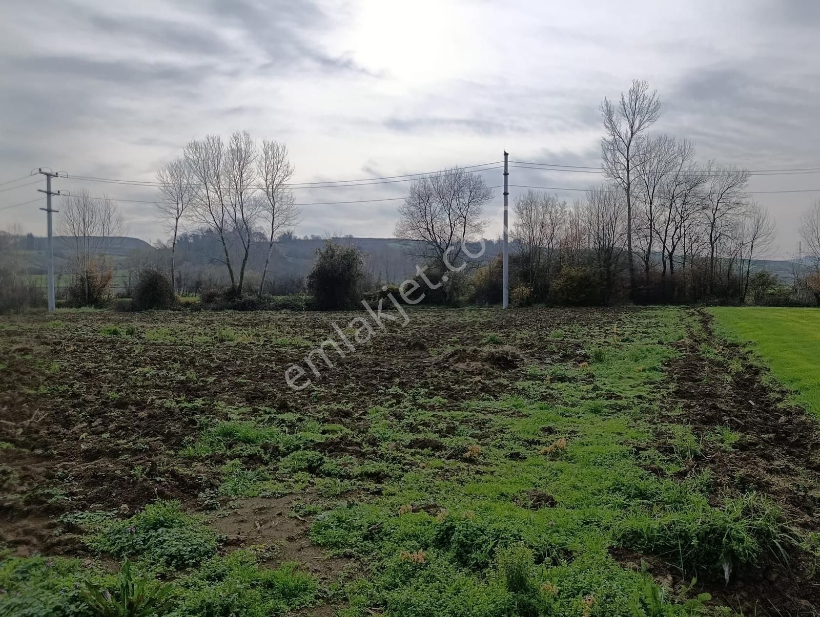 Yatırımlık Fırsat ! Kaynarca Merkezine Yakın 3260 M2 Tarla - Görsel 8