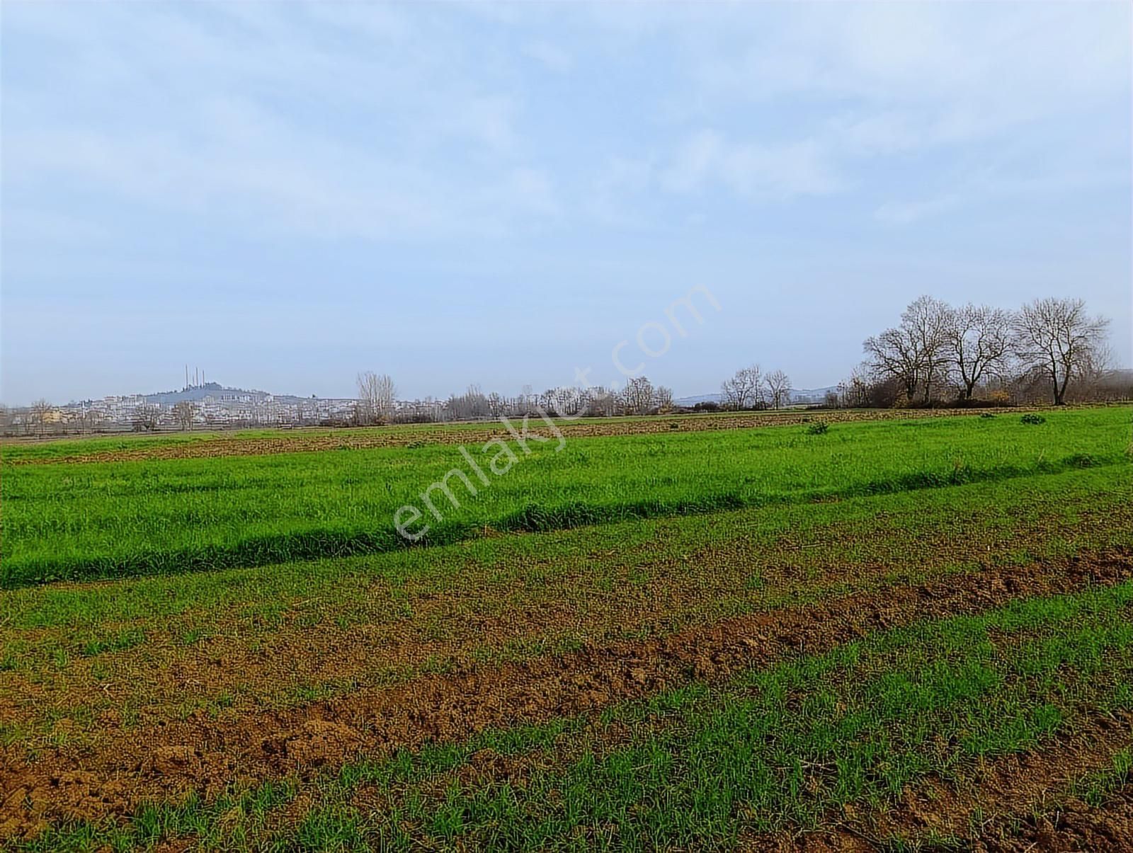 Yatırımlık Fırsat ! Kaynarca Merkezine Yakın 3260 M2 Tarla - Görsel 23