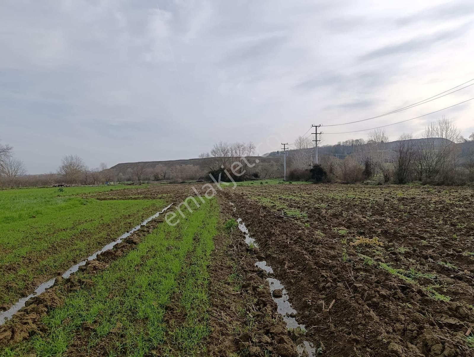 Yatırımlık Fırsat ! Kaynarca Merkezine Yakın 3260 M2 Tarla - Görsel 22