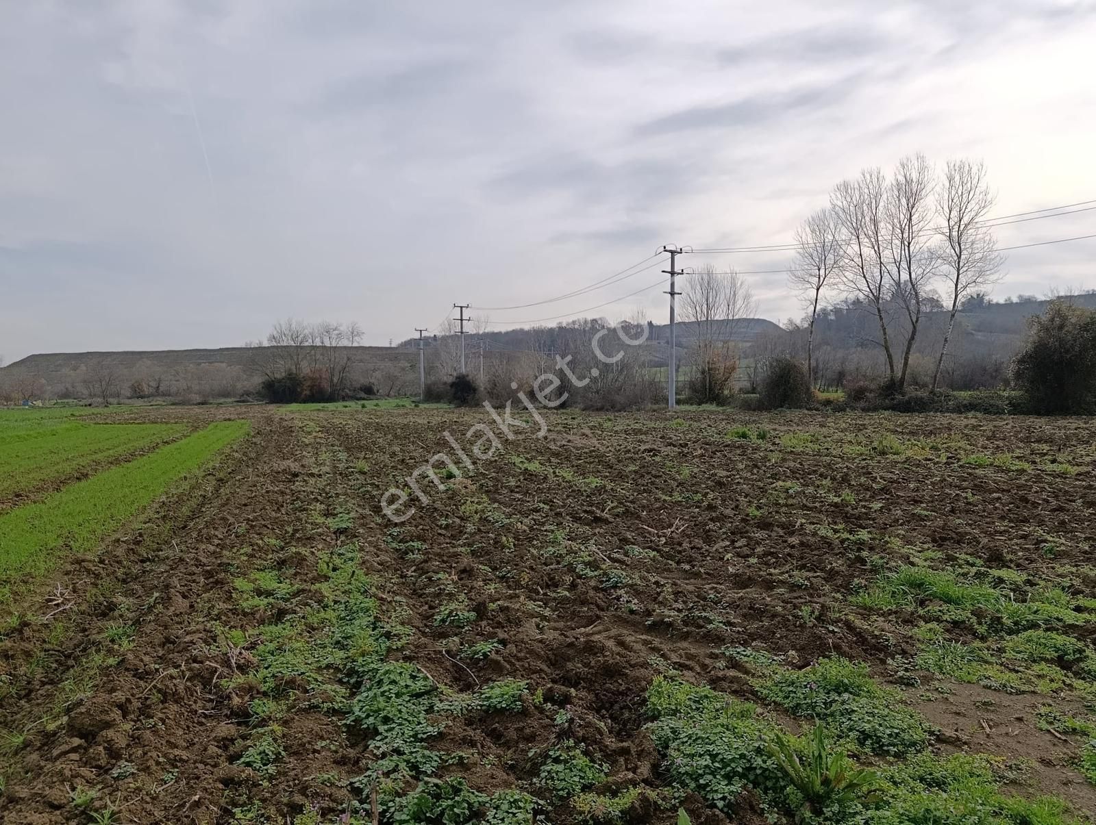 Yatırımlık Fırsat ! Kaynarca Merkezine Yakın 3260 M2 Tarla - Görsel 15