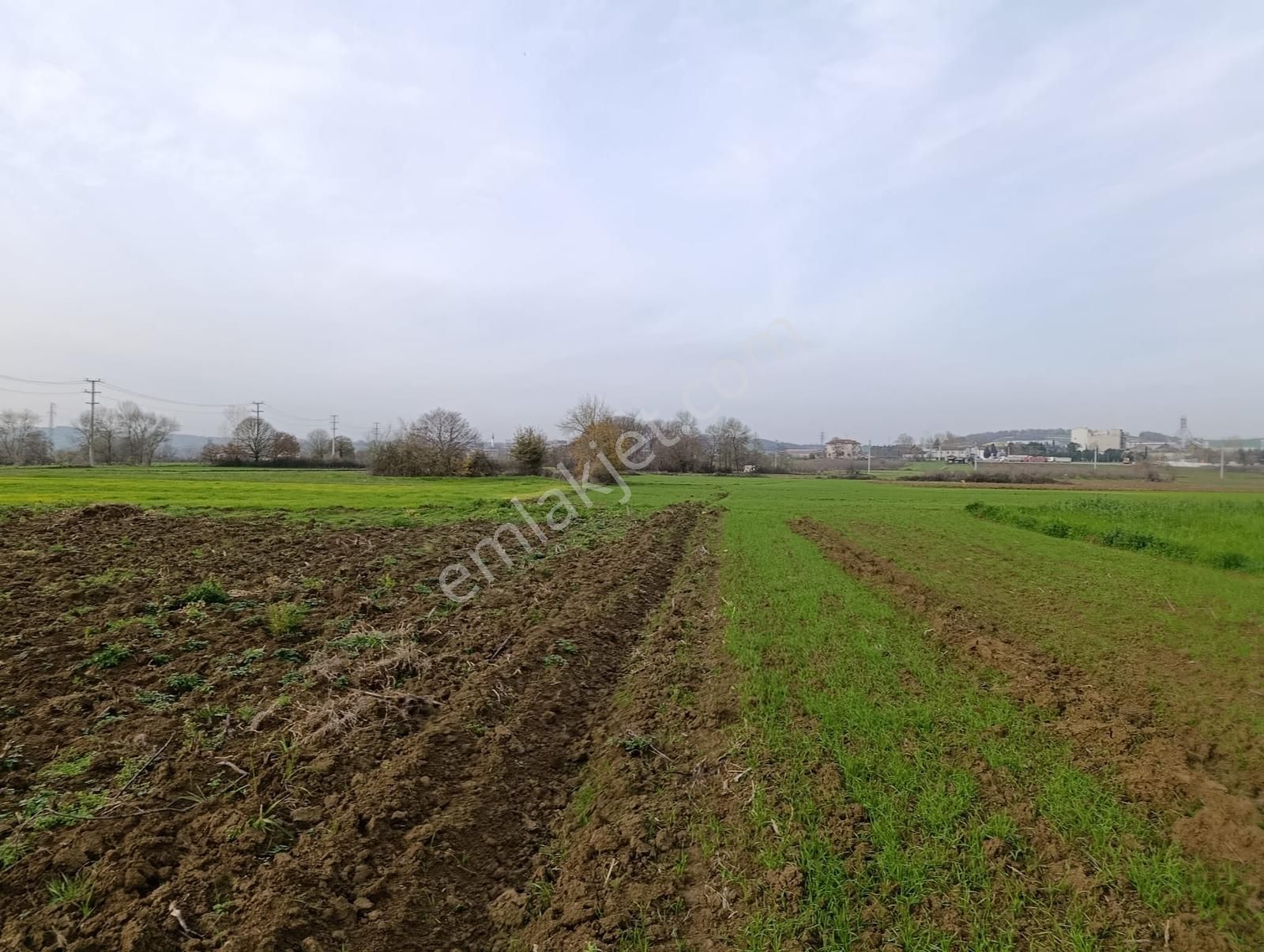 Yatırımlık Fırsat ! Kaynarca Merkezine Yakın 3260 M2 Tarla - Görsel 19