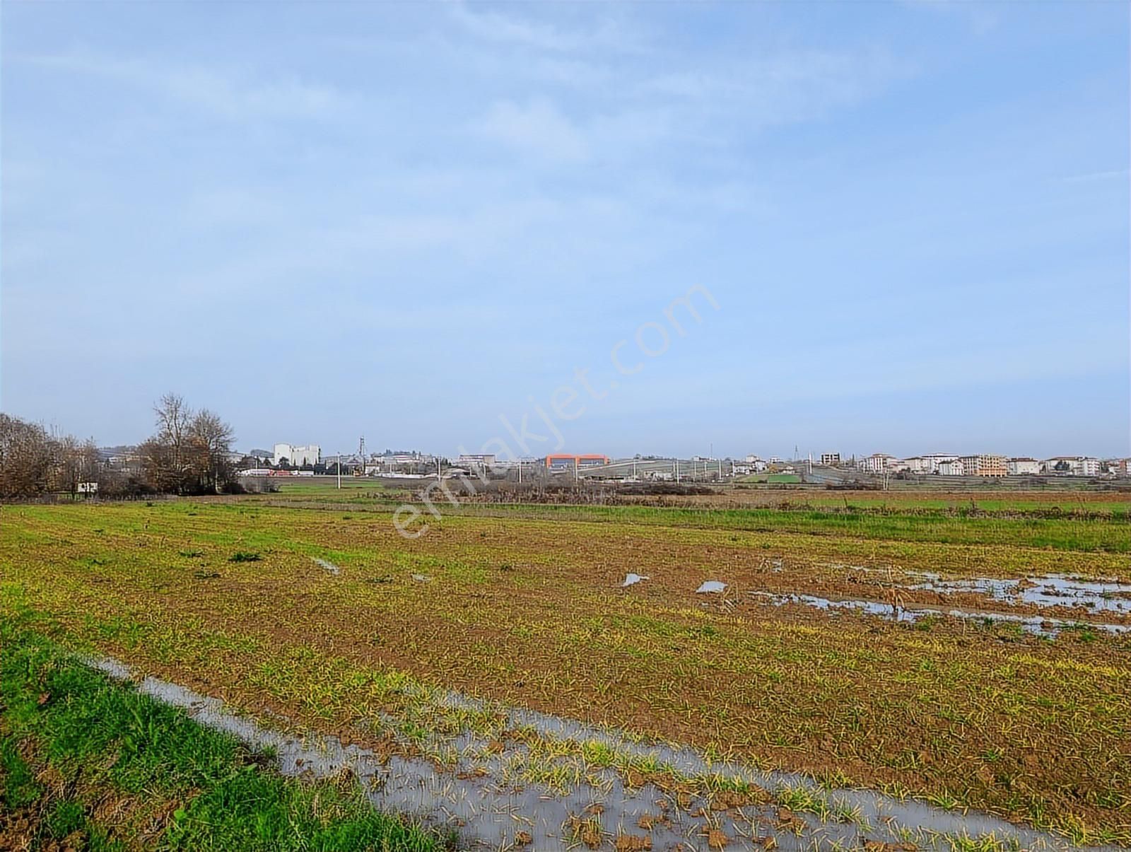 Kaynarca Merkezde 969 M2 Yola 1 Parsel Satılık Tarla - Görsel 6