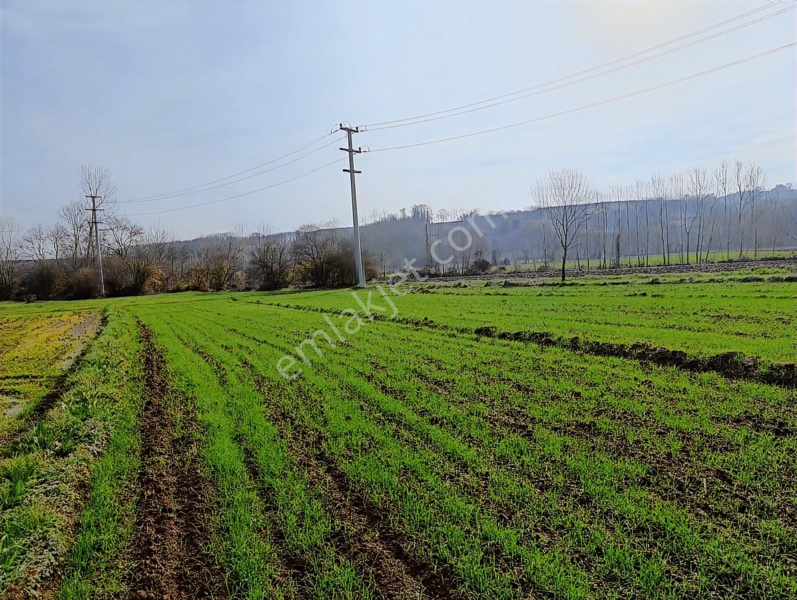 Kaynarca Merkezde 969 M2 Yola 1 Parsel Satılık Tarla - Görsel 26