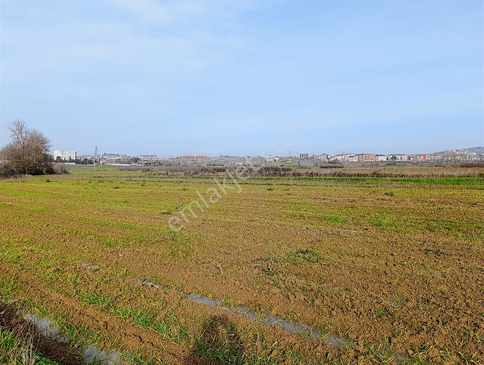 Kaynarca Merkezde 969 M2 Yola 1 Parsel Satılık Tarla - Görsel 20