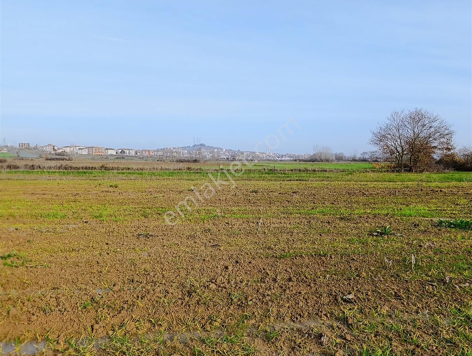 Kaynarca Merkezde 969 M2 Yola 1 Parsel Satılık Tarla - Görsel 14