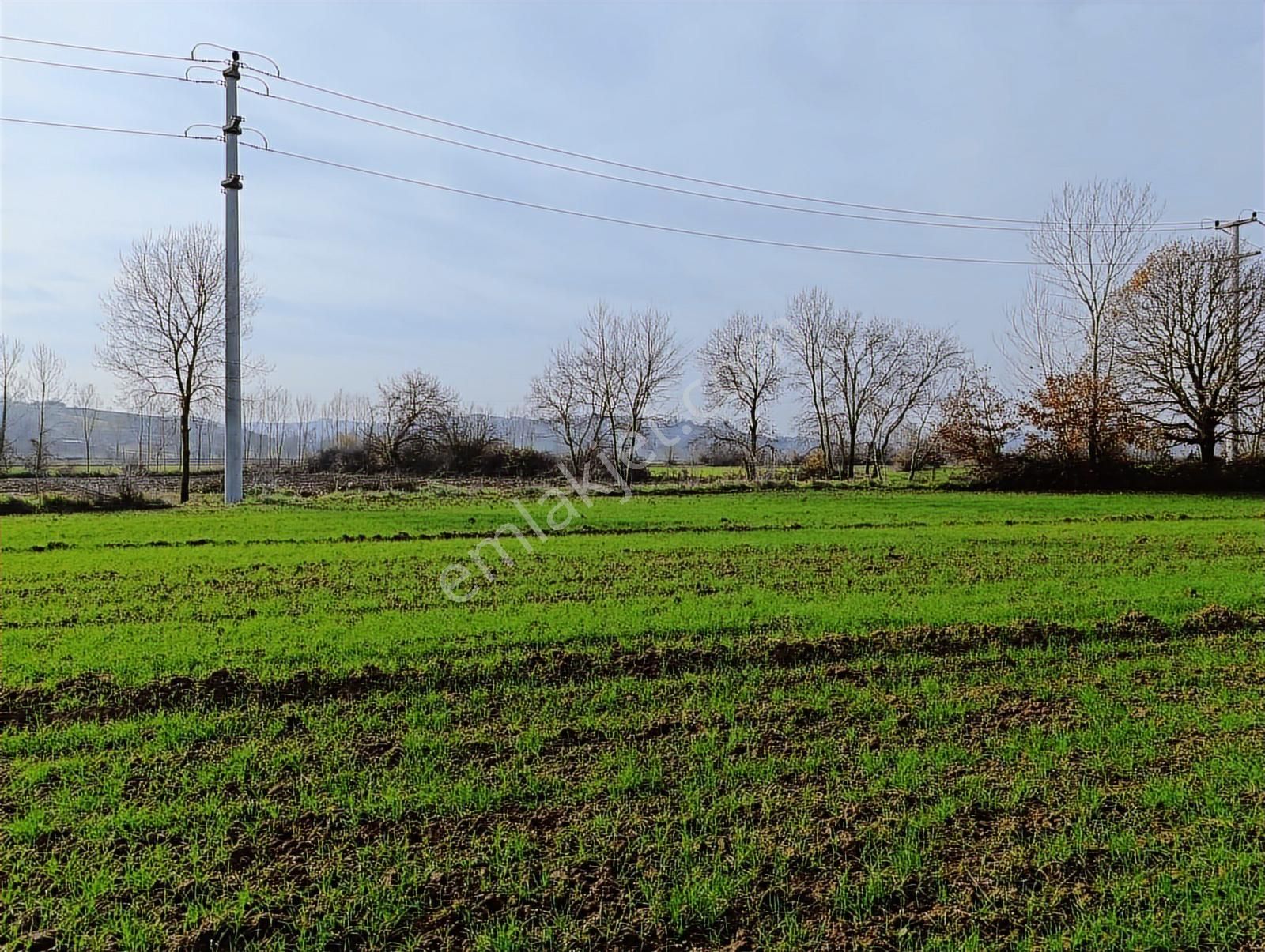 Kaynarca Merkezde 969 M2 Yola 1 Parsel Satılık Tarla - Görsel 28