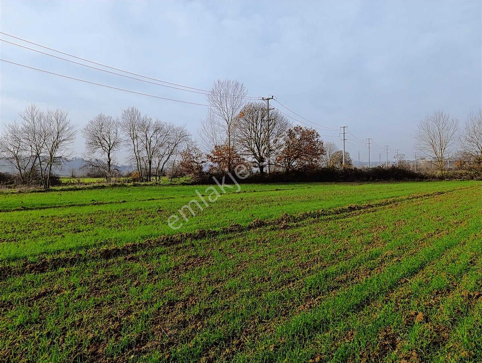 Kaynarca Merkezde 969 M2 Yola 1 Parsel Satılık Tarla - Görsel 24