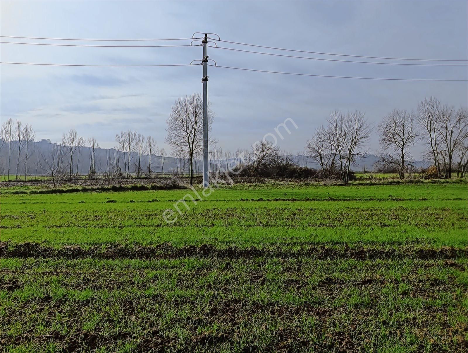 Kaynarca Merkezde 969 M2 Yola 1 Parsel Satılık Tarla - Görsel 22