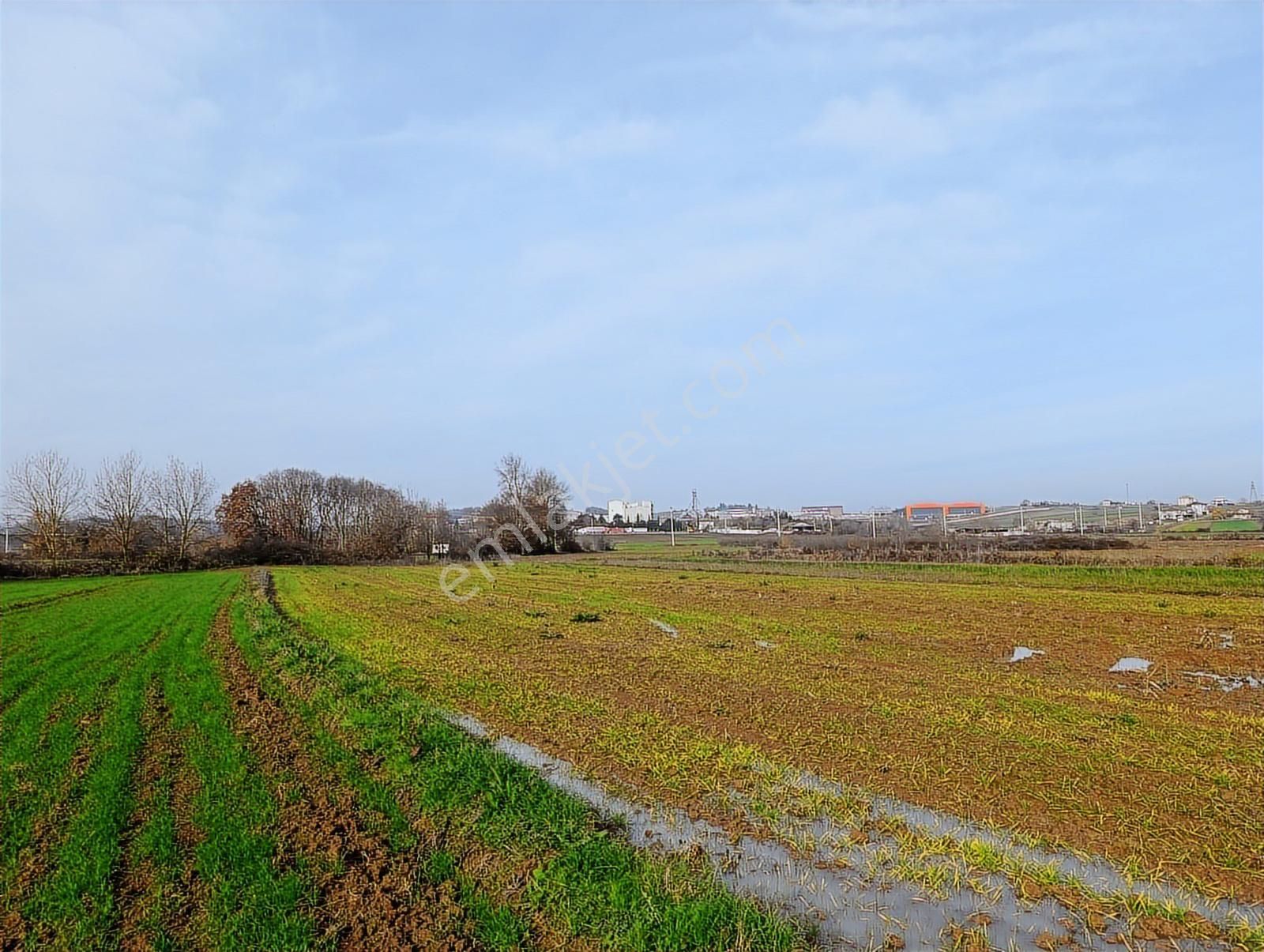 Kaynarca Merkezde 969 M2 Yola 1 Parsel Satılık Tarla - Görsel 7