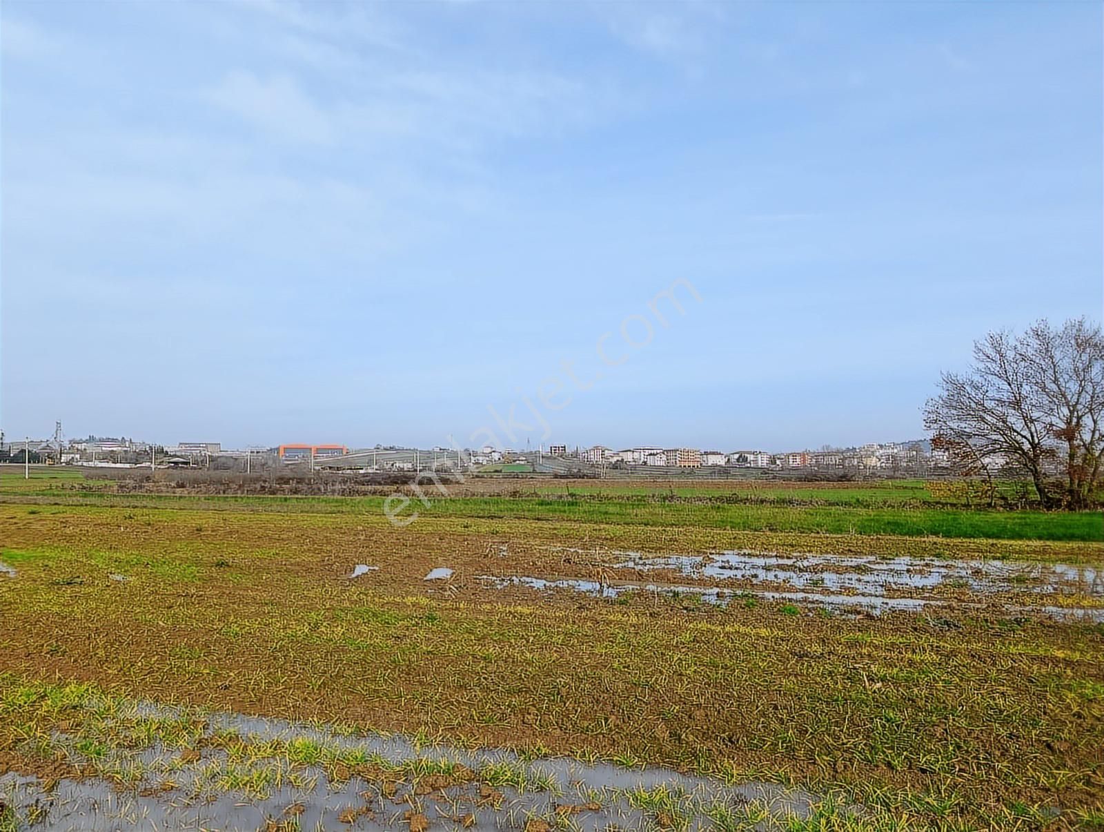 Kaynarca Merkezde 969 M2 Yola 1 Parsel Satılık Tarla - Görsel 15