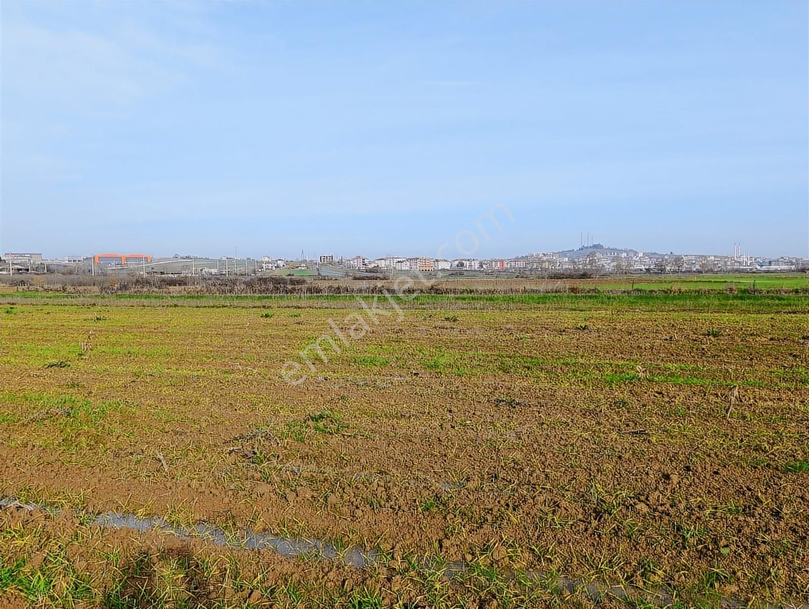 Kaynarca Merkezde 969 M2 Yola 1 Parsel Satılık Tarla - Görsel 11