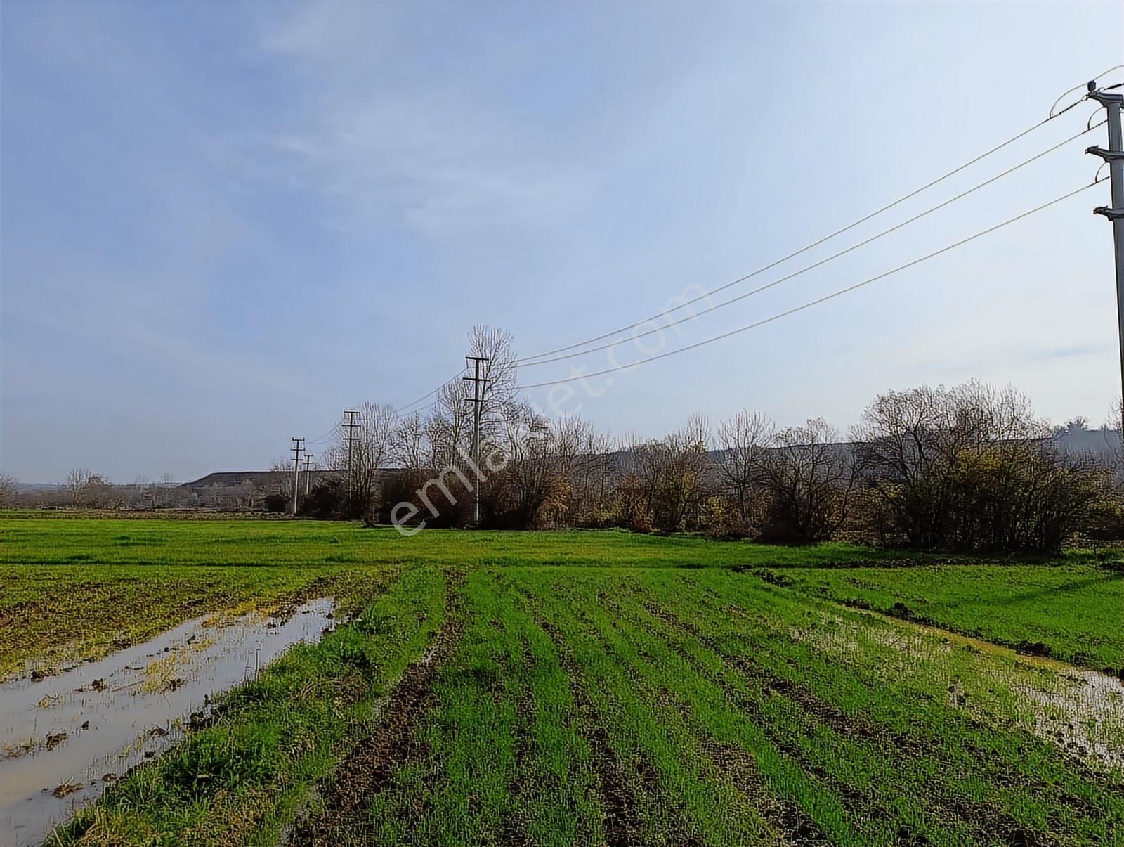 Kaynarca Merkezde 969 M2 Yola 1 Parsel Satılık Tarla - Görsel 13