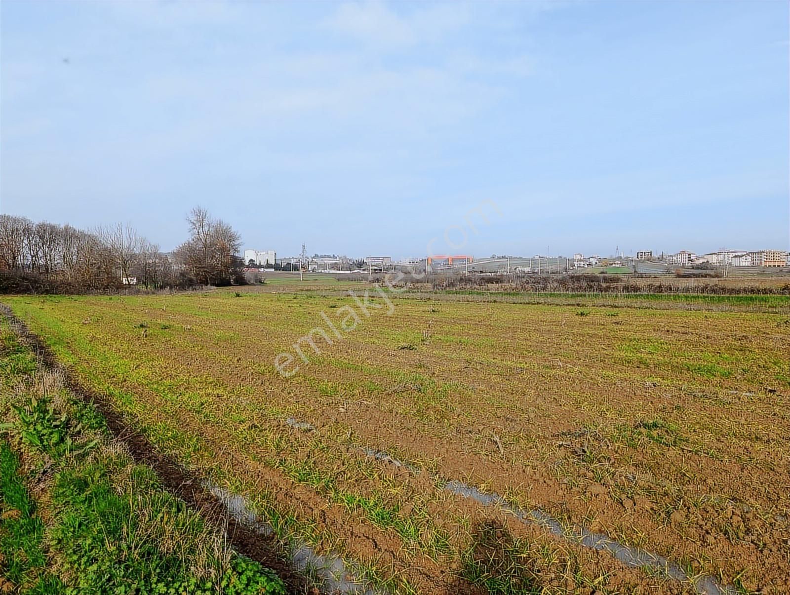 Kaynarca Merkezde 969 M2 Yola 1 Parsel Satılık Tarla - Görsel 16