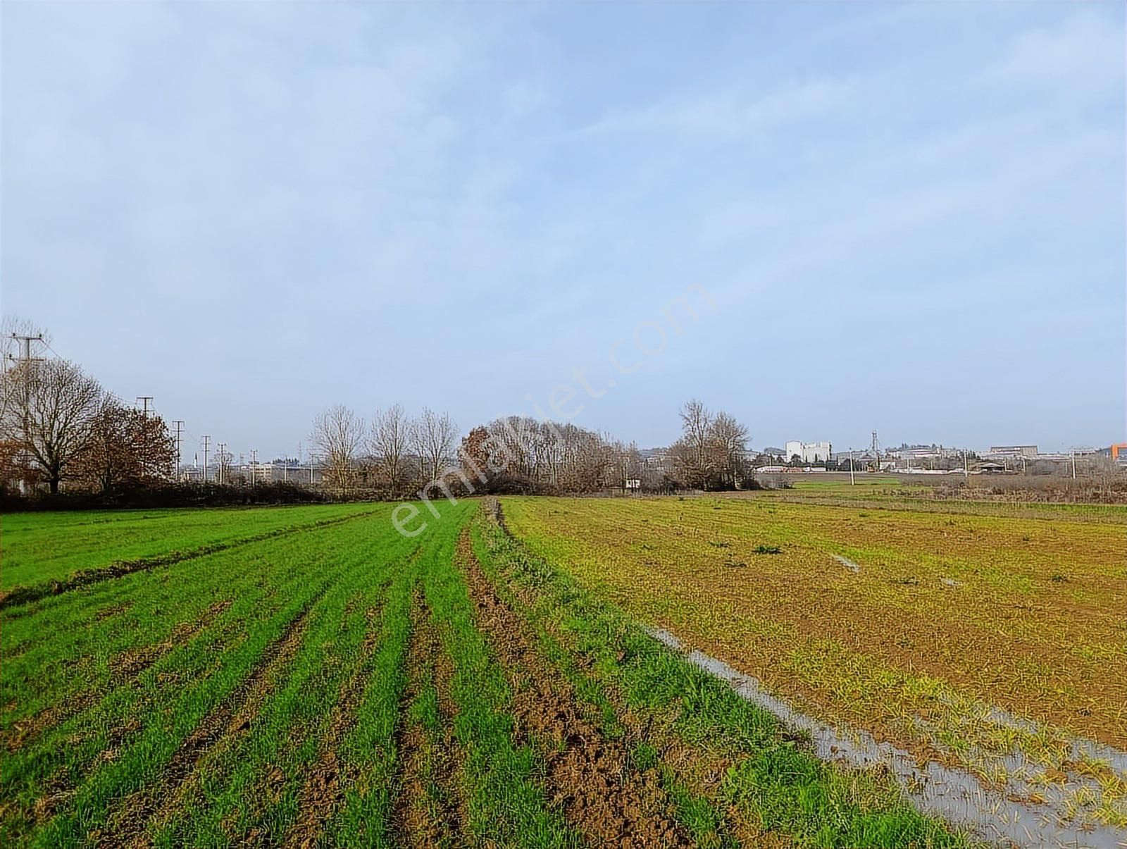 Kaynarca Merkezde 969 M2 Yola 1 Parsel Satılık Tarla - Görsel 25