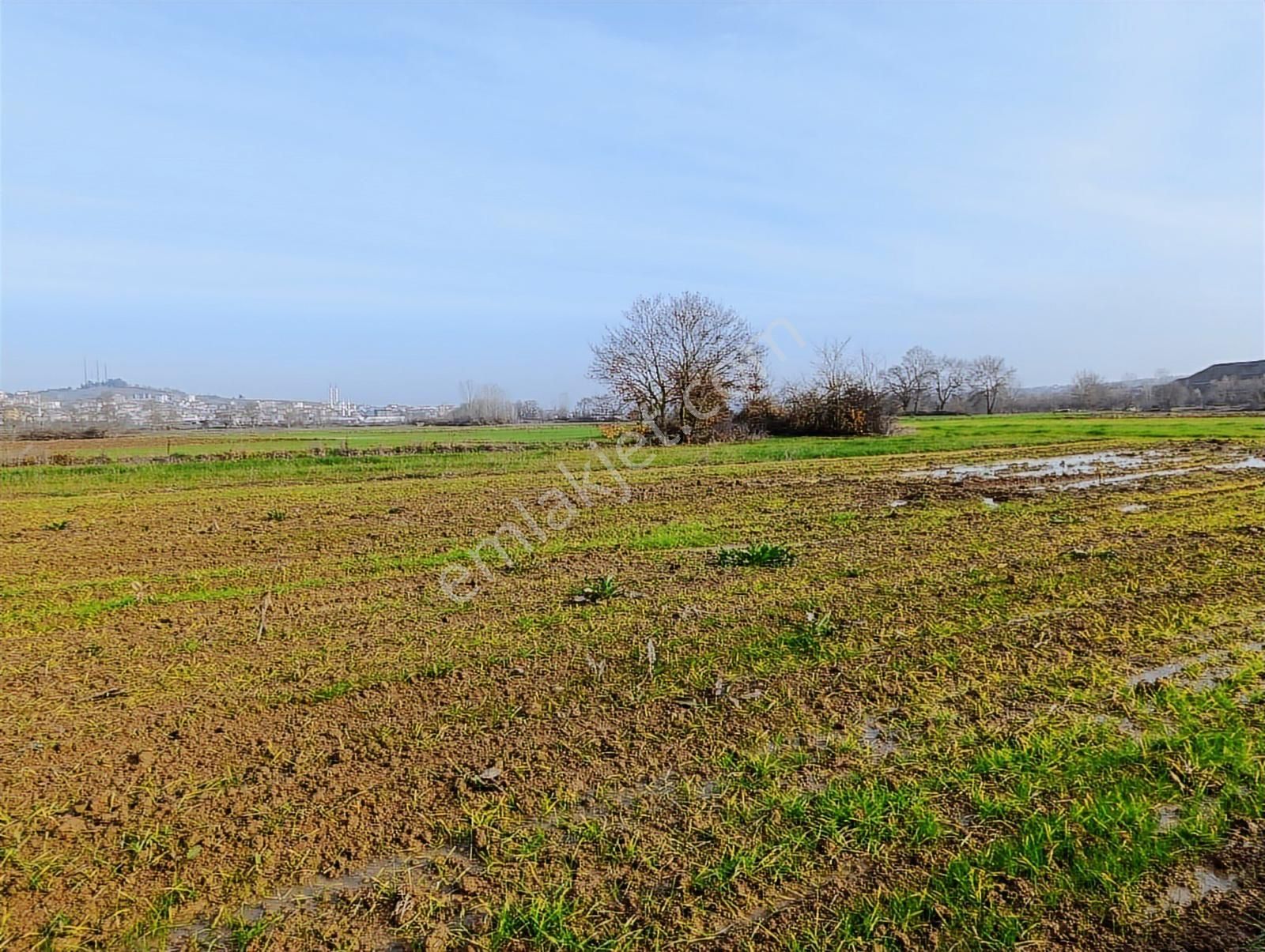 Kaynarca Merkezde 969 M2 Yola 1 Parsel Satılık Tarla - Görsel 3