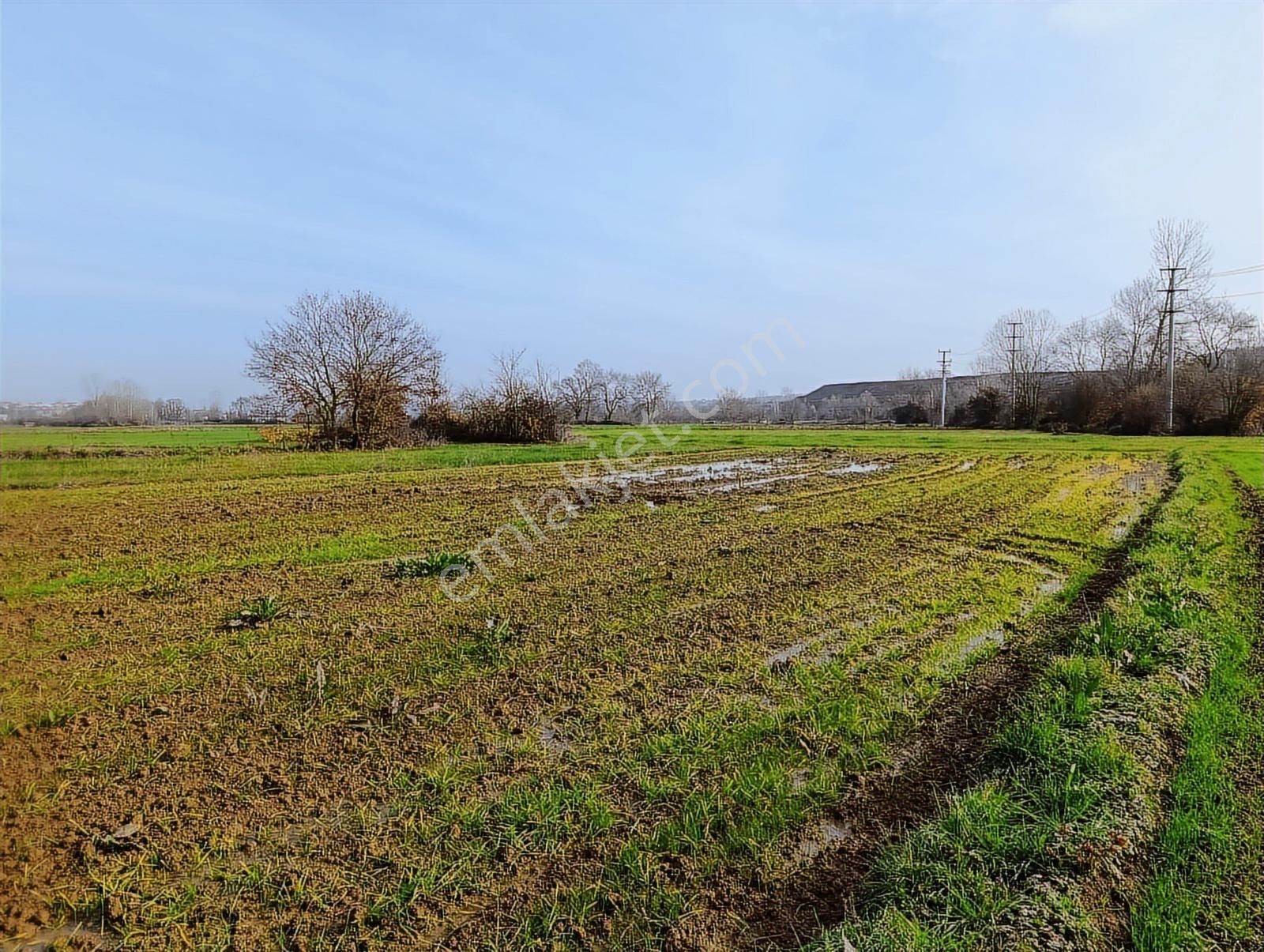 Kaynarca Merkezde 969 M2 Yola 1 Parsel Satılık Tarla - Görsel 9