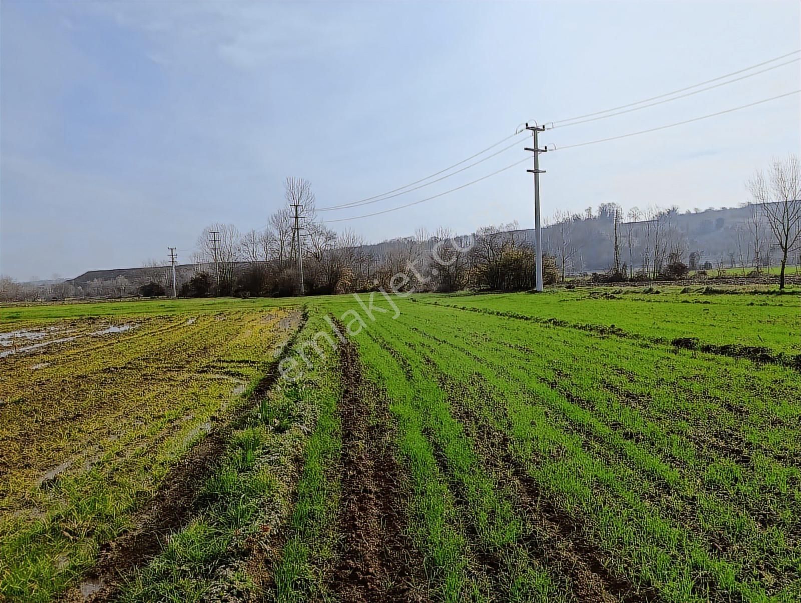 Kaynarca Merkezde 969 M2 Yola 1 Parsel Satılık Tarla - Görsel 21