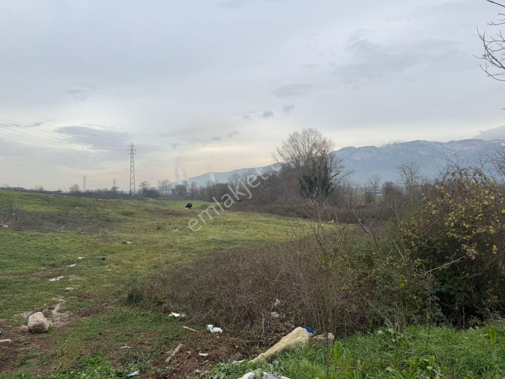 Palas'tan Kartepe Rahmiye Mah. Satılık Arsa - Görsel 8