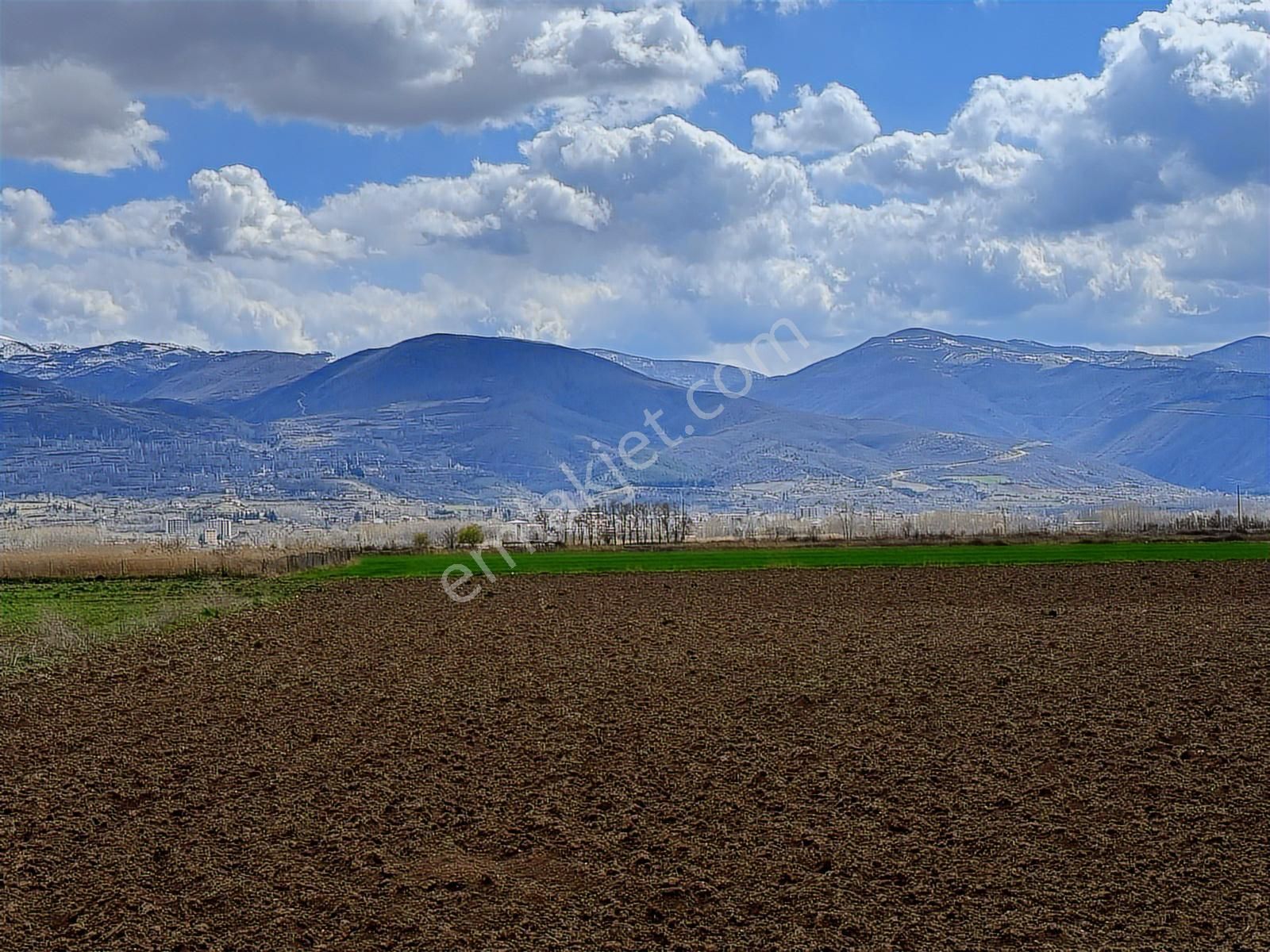 Kiralık Kazova Dökmetepe'de 5 Dönüm-sulak Verimli Tarım Arazisi - Görsel 14