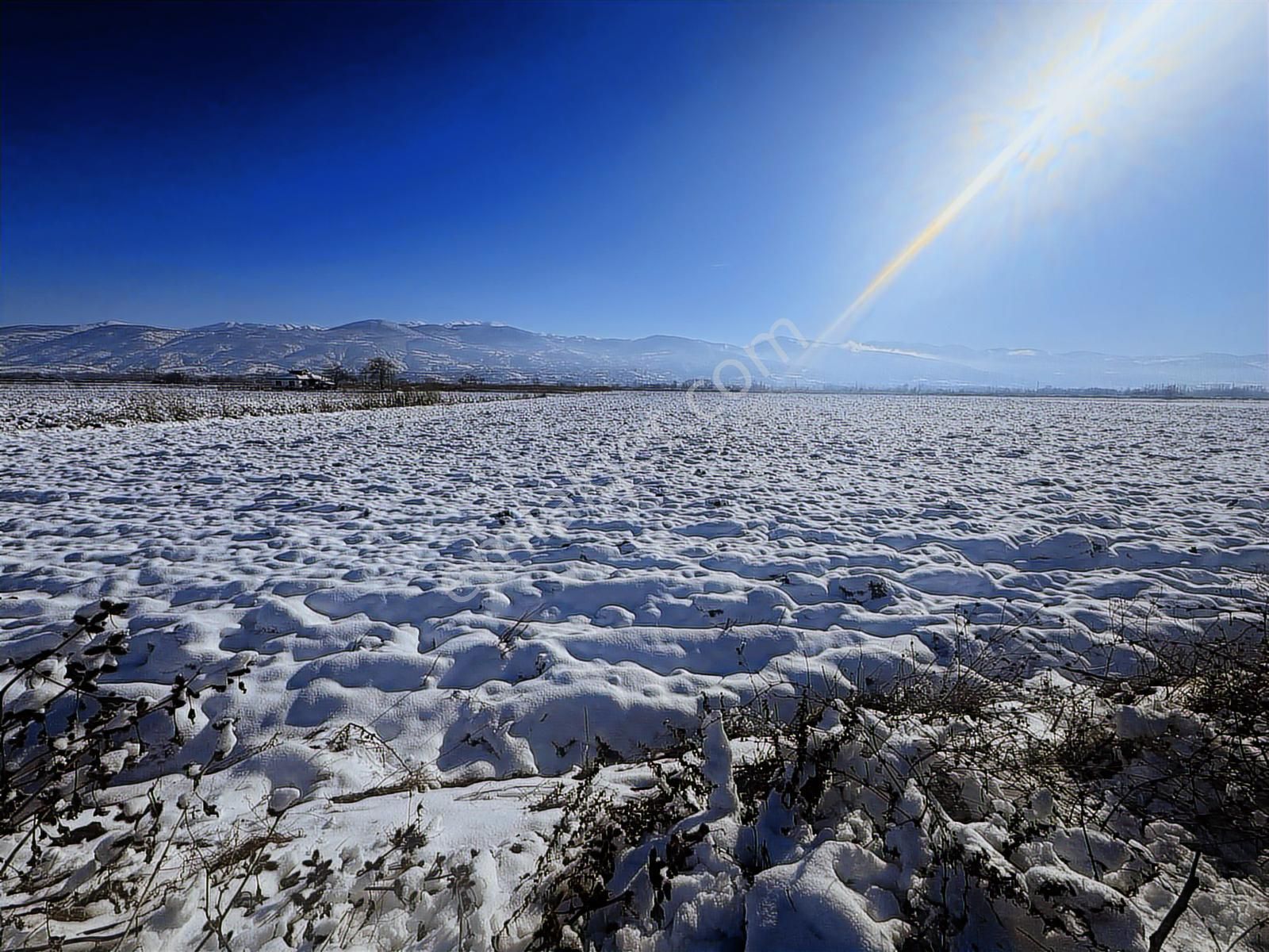 Kiralık Kazova Dökmetepe'de 5 Dönüm-sulak Verimli Tarım Arazisi - Görsel 4