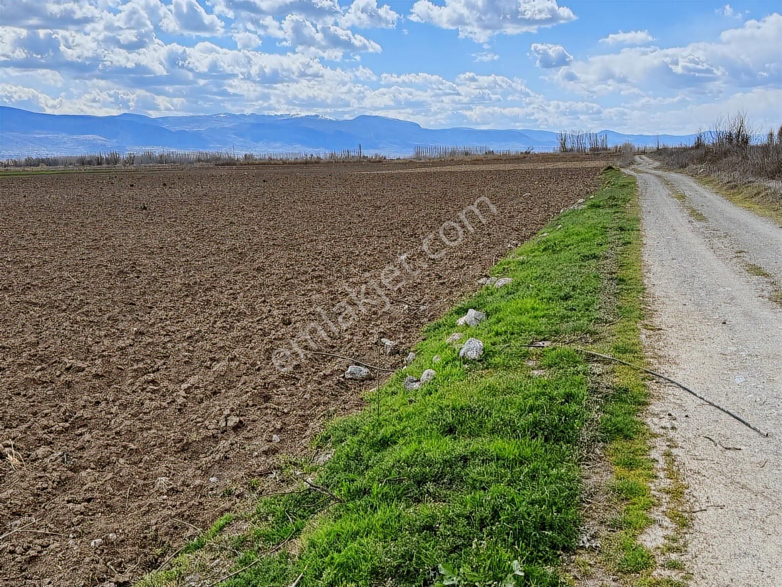 Kiralık Kazova Dökmetepe'de 5 Dönüm-sulak Verimli Tarım Arazisi