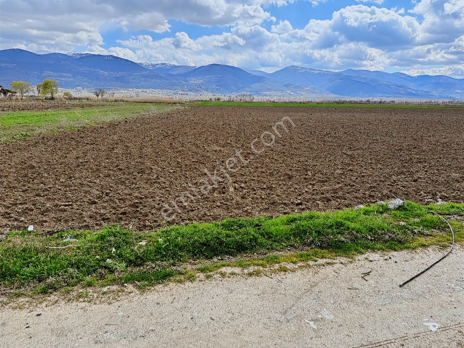 Kiralık Kazova Dökmetepe'de 5 Dönüm-sulak Verimli Tarım Arazisi - Görsel 3