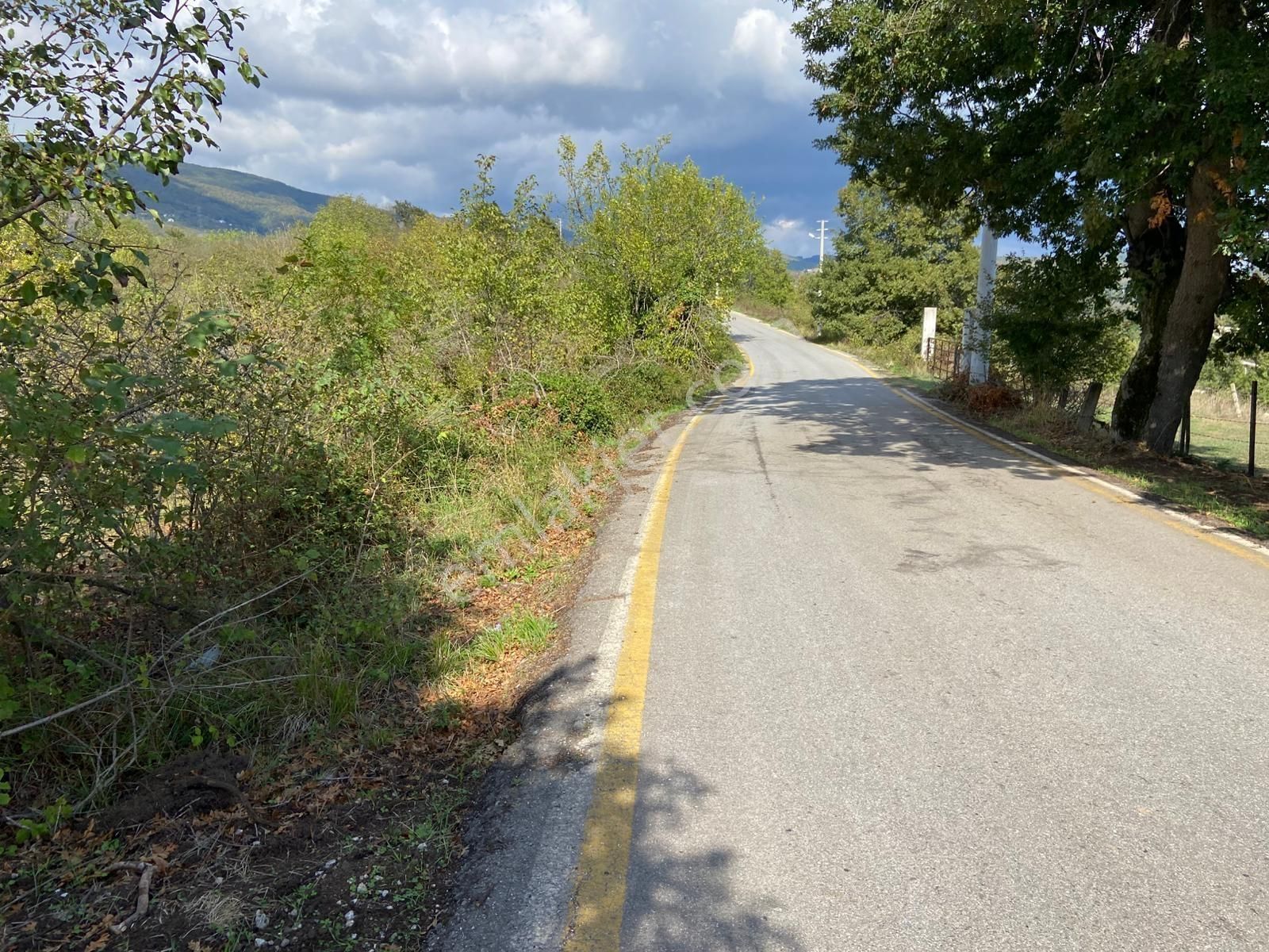 Hicriye Köyünde Düzce Yoluna Yakın Yatırıma Uygun Satılık Tarla