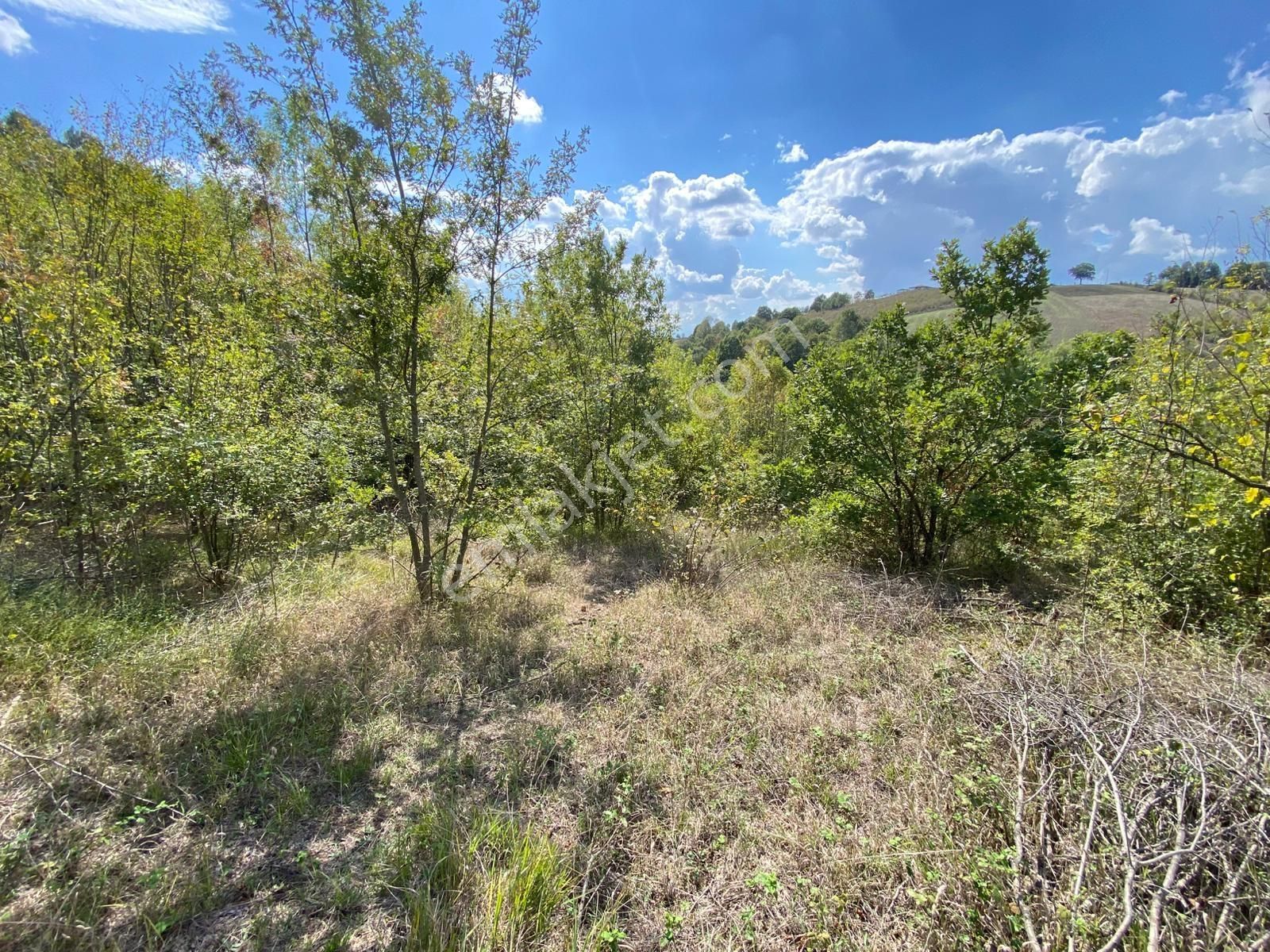 Hicriye Köyünde Düzce Yoluna Yakın Yatırıma Uygun Satılık Tarla - Görsel 21