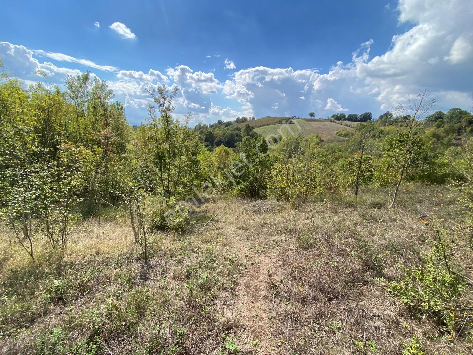 Hicriye Köyünde Düzce Yoluna Yakın Yatırıma Uygun Satılık Tarla - Görsel 5