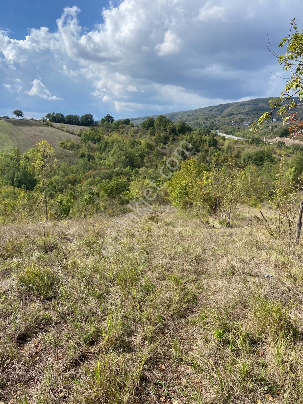 Hicriye Köyünde Düzce Yoluna Yakın Yatırıma Uygun Satılık Tarla - Görsel 9