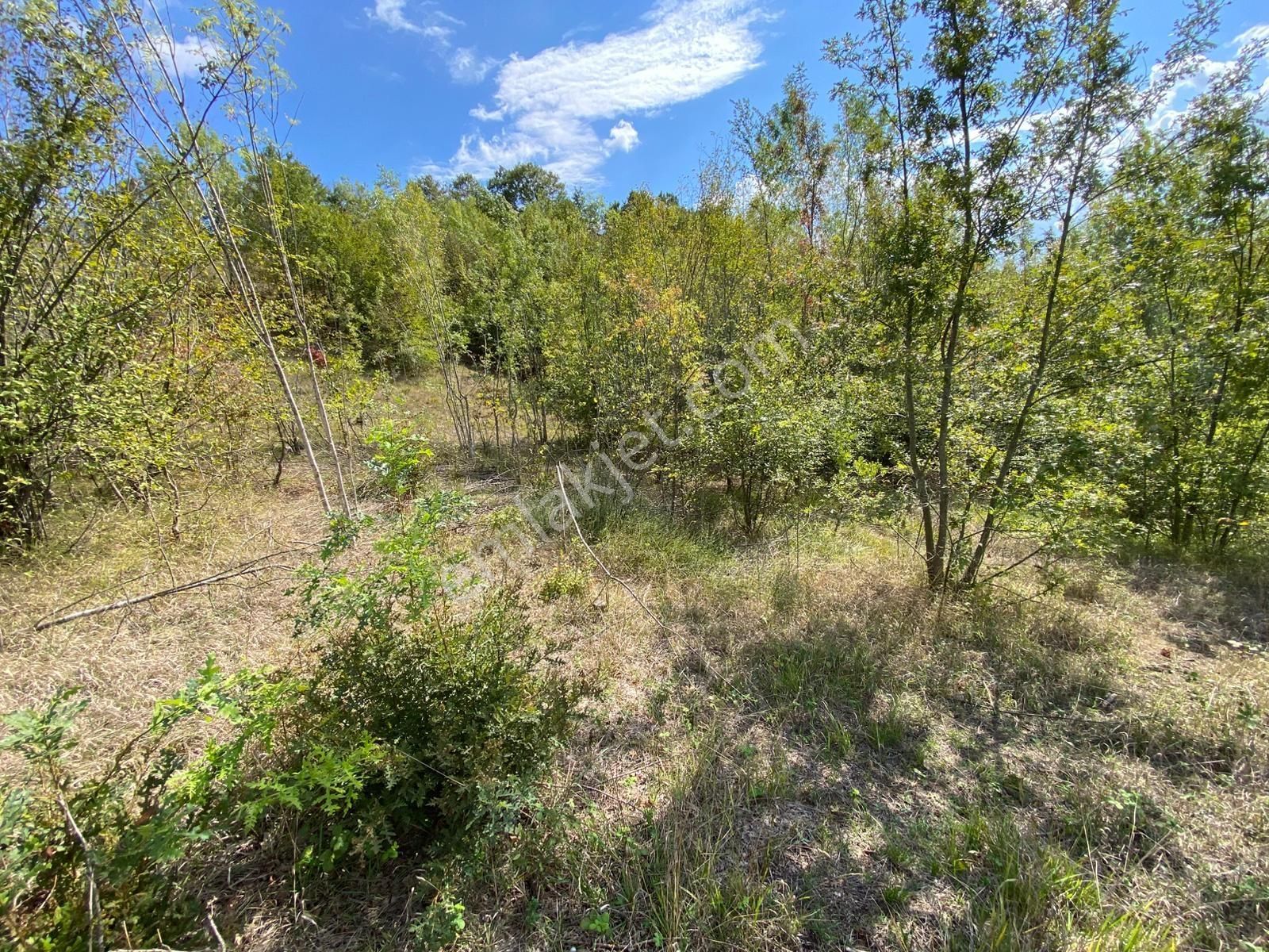 Hicriye Köyünde Düzce Yoluna Yakın Yatırıma Uygun Satılık Tarla - Görsel 17