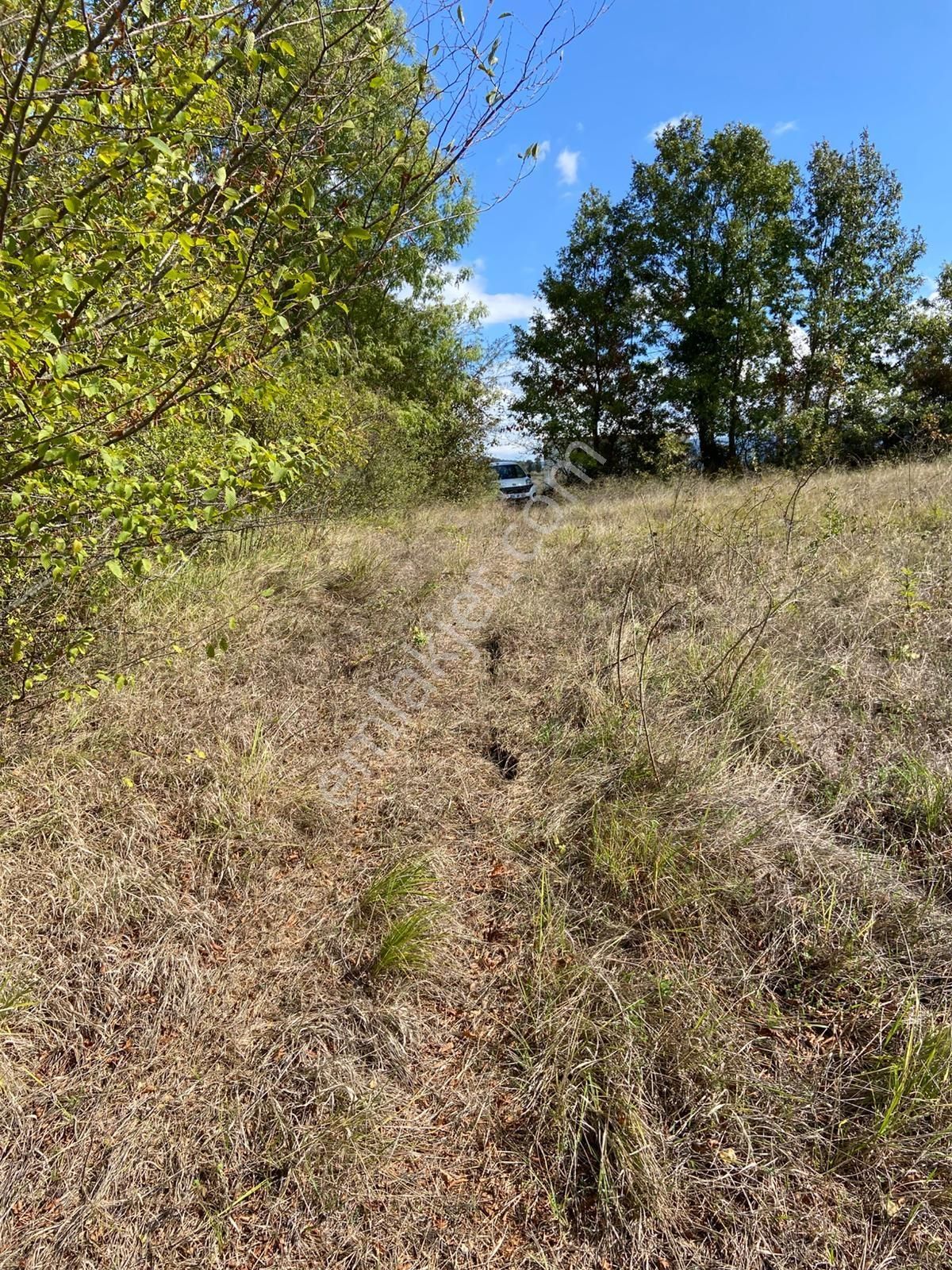 Hicriye Köyünde Düzce Yoluna Yakın Yatırıma Uygun Satılık Tarla - Görsel 13