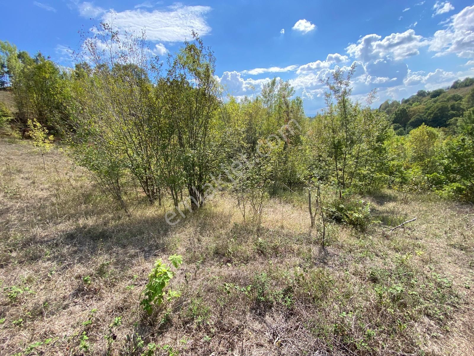 Hicriye Köyünde Düzce Yoluna Yakın Yatırıma Uygun Satılık Tarla - Görsel 11