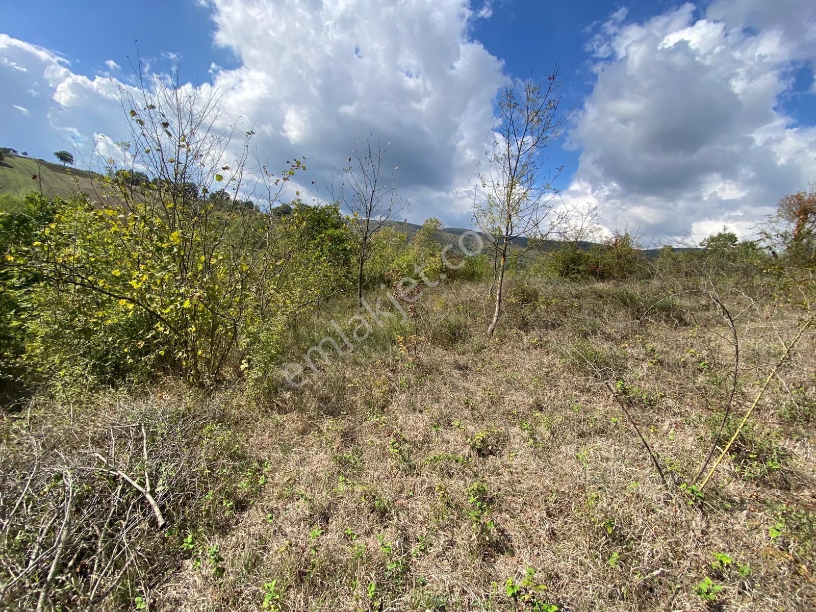 Hicriye Köyünde Düzce Yoluna Yakın Yatırıma Uygun Satılık Tarla - Görsel 6