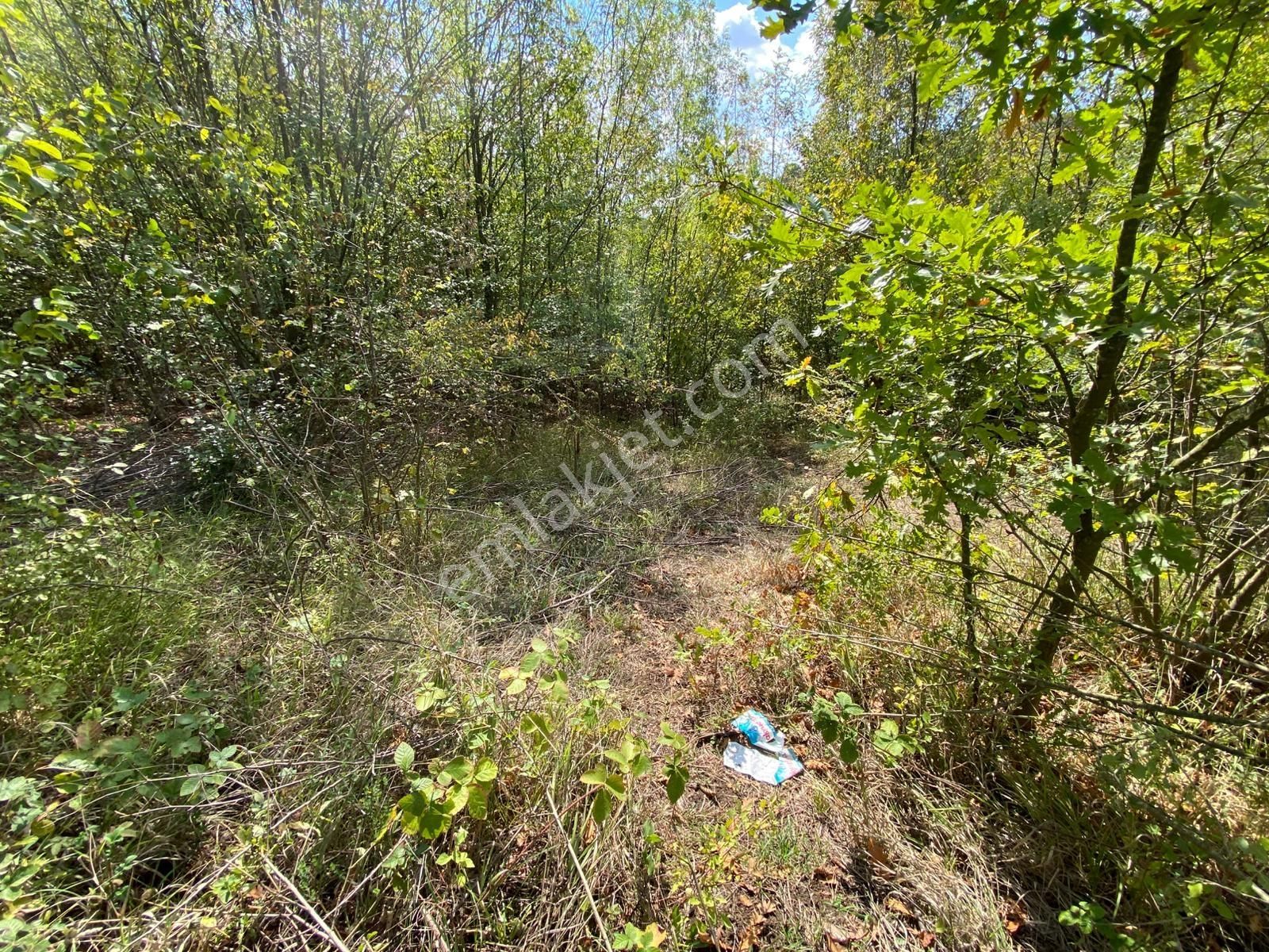 Hicriye Köyünde Düzce Yoluna Yakın Yatırıma Uygun Satılık Tarla - Görsel 15