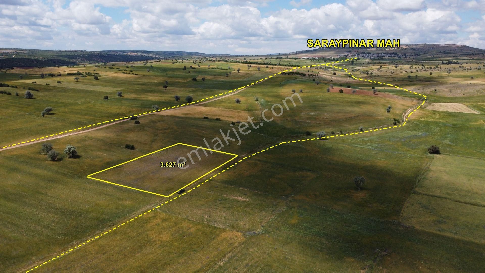 Konya / Beyşehir / Yenidoğan-sarayyolu 3.627 M² Tarla - Görsel 6