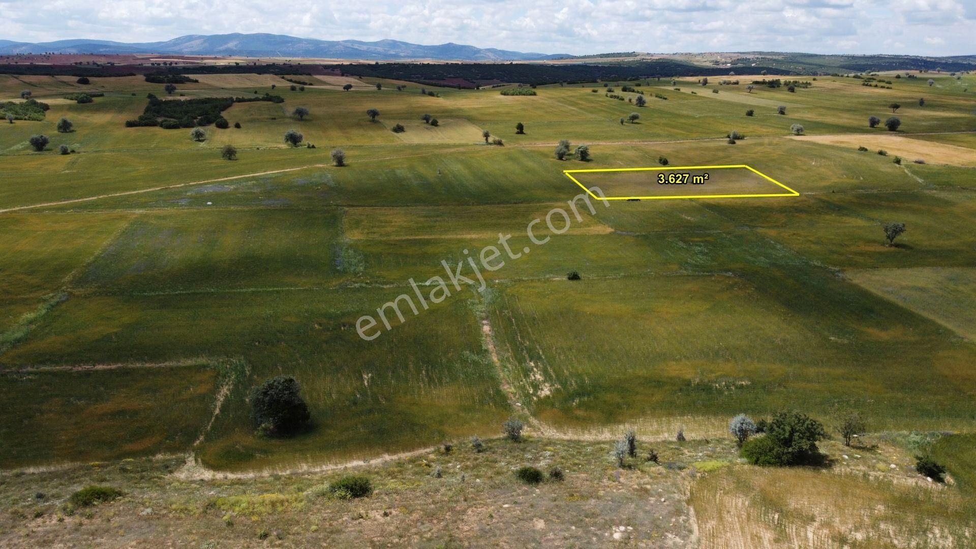 Konya / Beyşehir / Yenidoğan-sarayyolu 3.627 M² Tarla - Görsel 2
