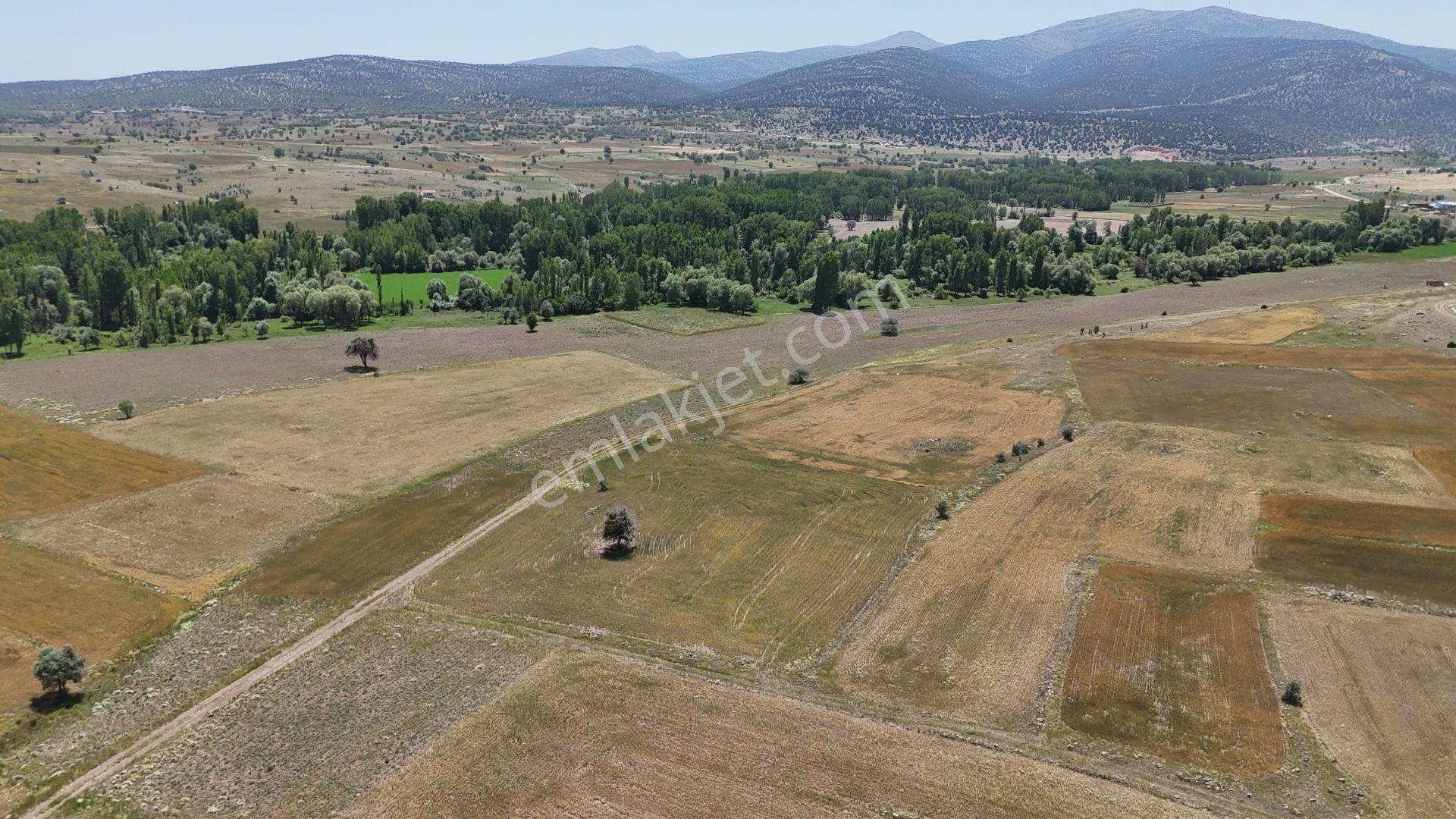 Konya / Akören / Çatören Mahallesine 3.461 M² Müstakil Tapulu Tarla - Görsel 2