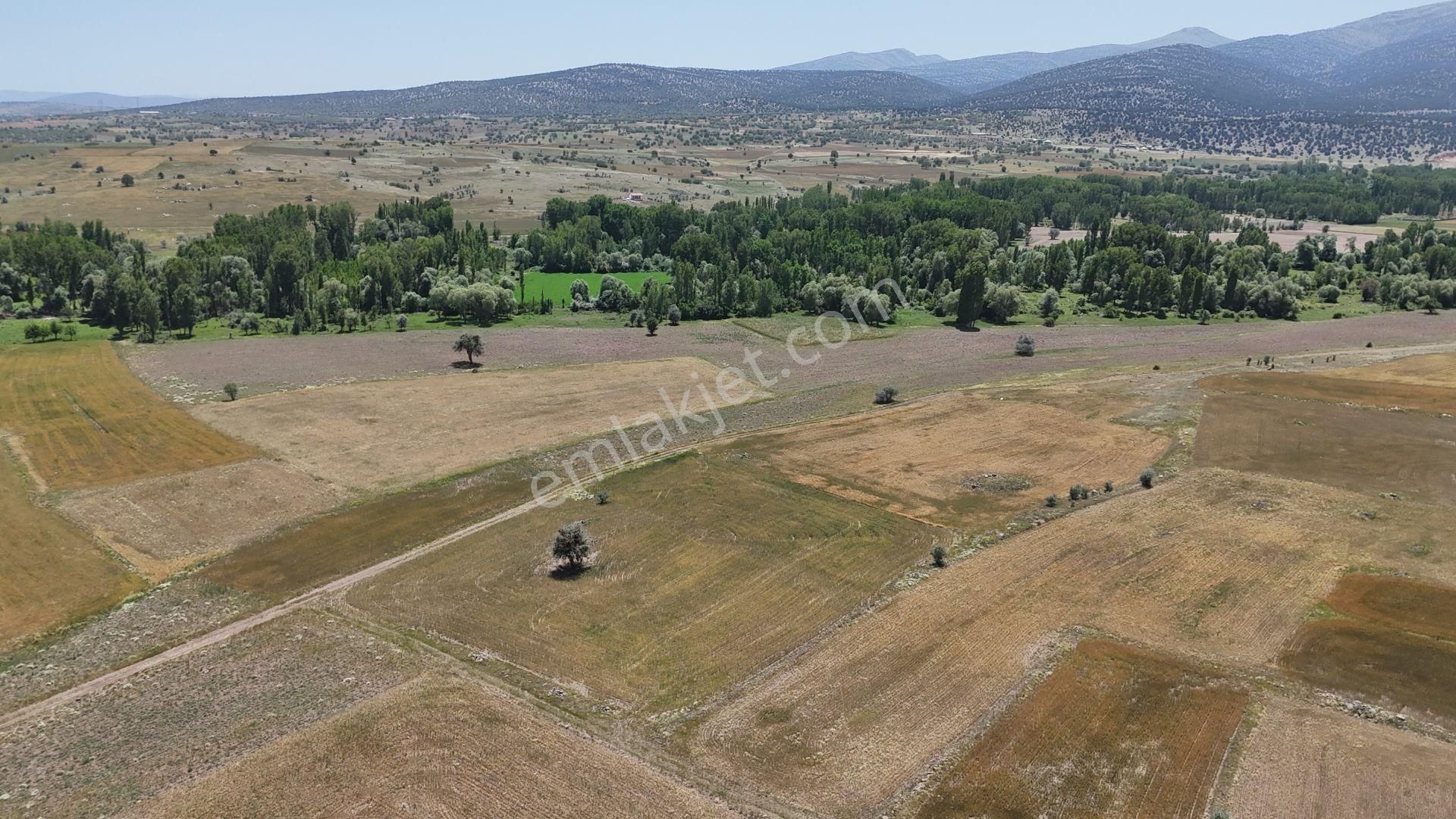 Konya / Akören / Çatören Mahallesine 3.461 M² Müstakil Tapulu Tarla - Görsel 3