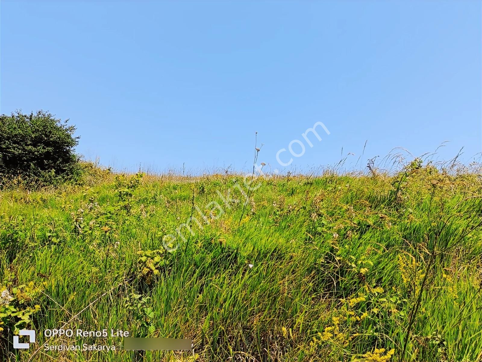 Adapazarı Büyükhataplı Da Düne Göre Pahalı Yarına Göre Ucuz Arsa - Görsel 9