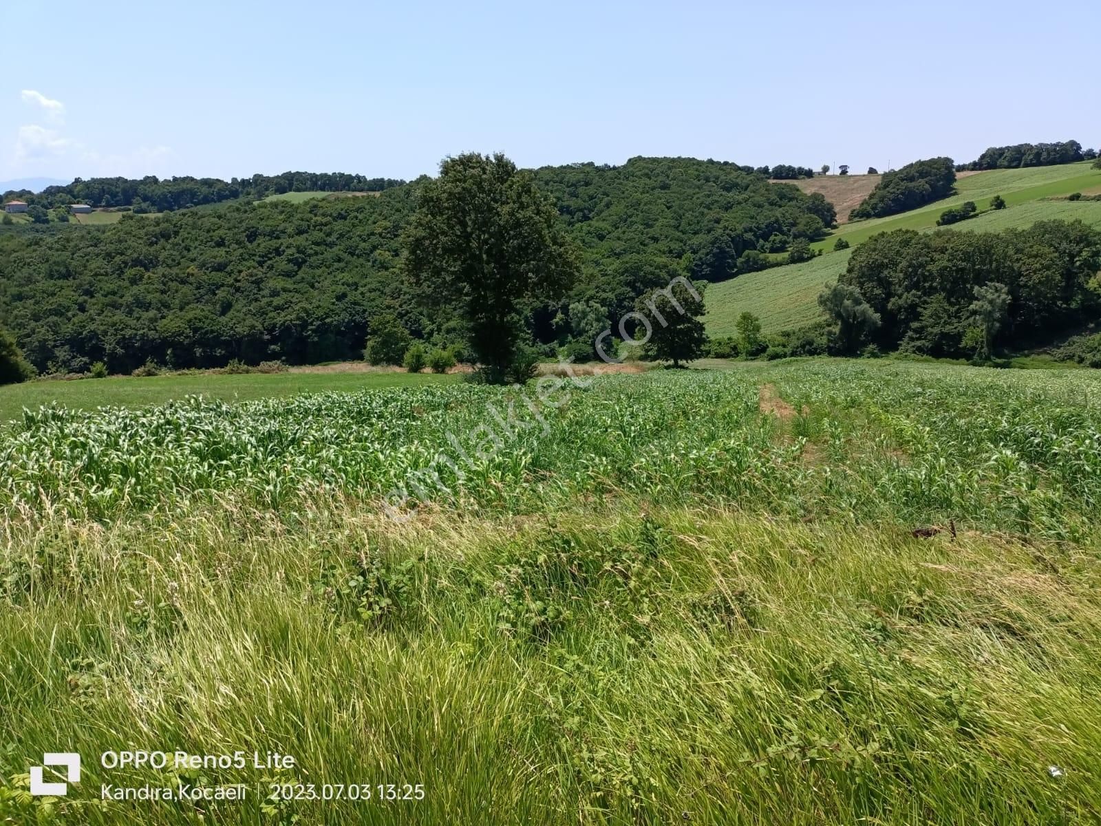 Adapazarı Büyükhataplı Da Düne Göre Pahalı Yarına Göre Ucuz Arsa - Görsel 4
