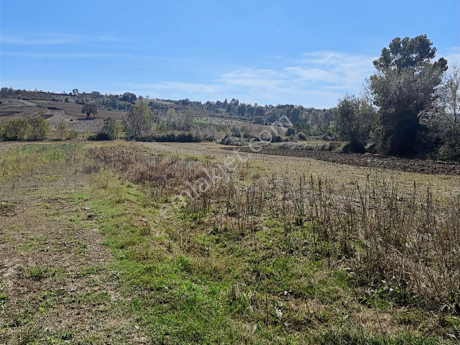 Balcı Köyünde Kadastrol Yola Cepheli Yatırımlık Satılık Tarla - Görsel 5